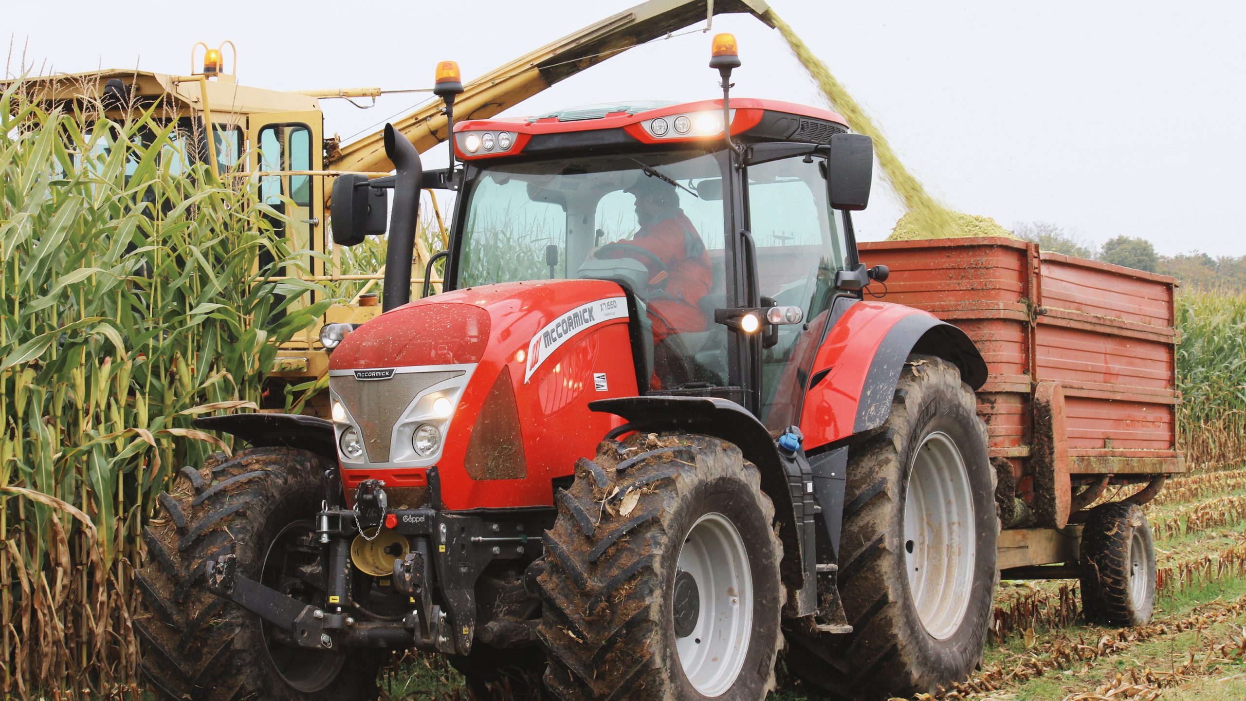 Mais häckseln und silieren (Bild Agrimage)
