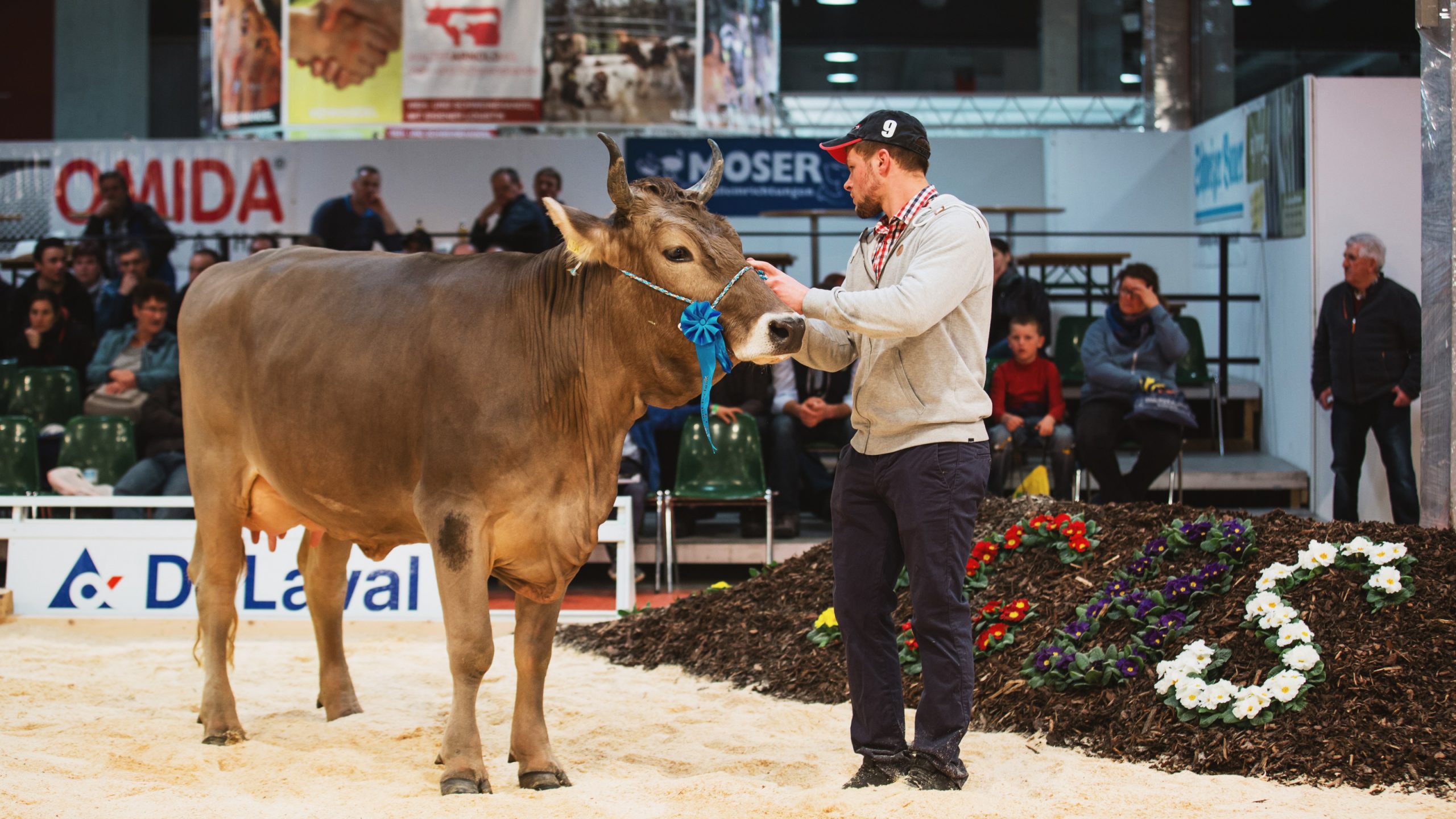 Le salon Tier & Technik propose une exposition d'animaux de haut niveau. (photo Tier & Technik)