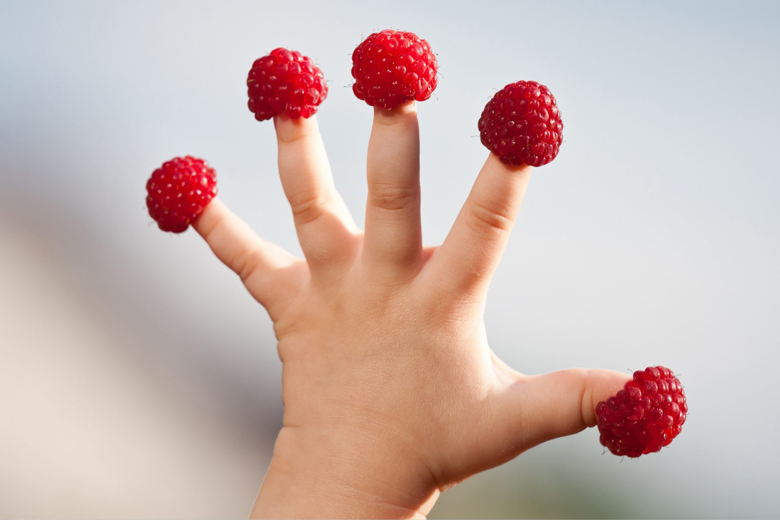 Quel plaisir de découvrir de nouveaux aliments!