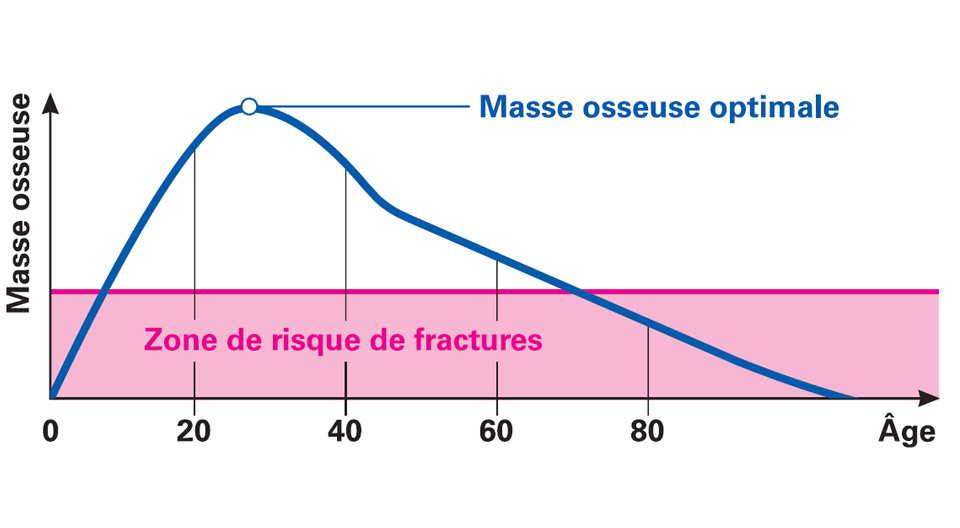 La masse osseuse est liée à l'âge.