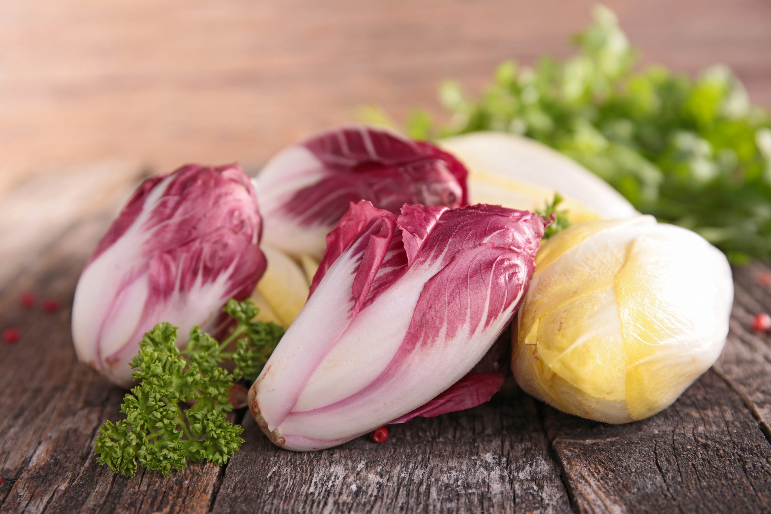 Chicorée-Gratin mit Schinken - Rezept | Swissmilk