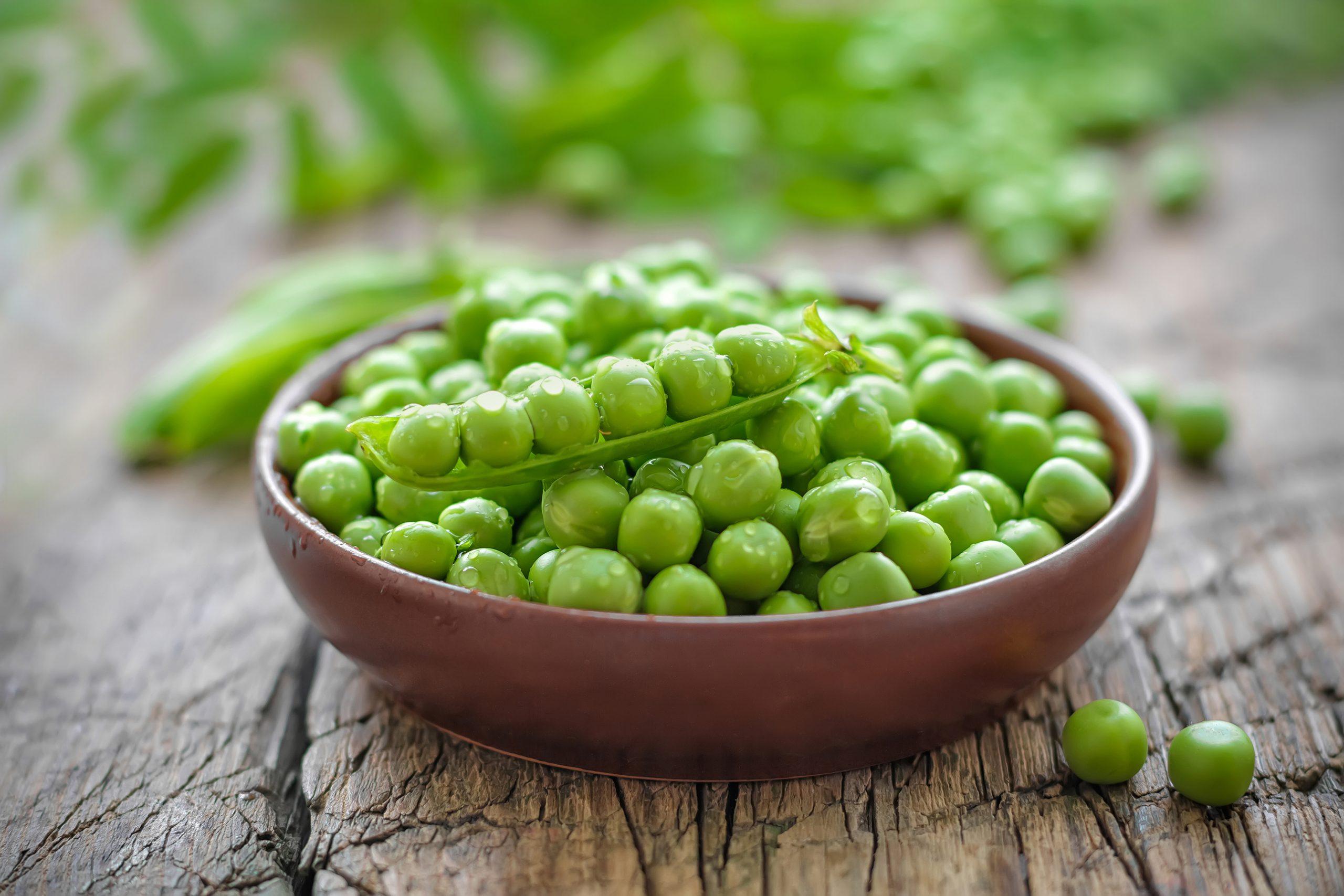 Quelles sont les variétés de pois?