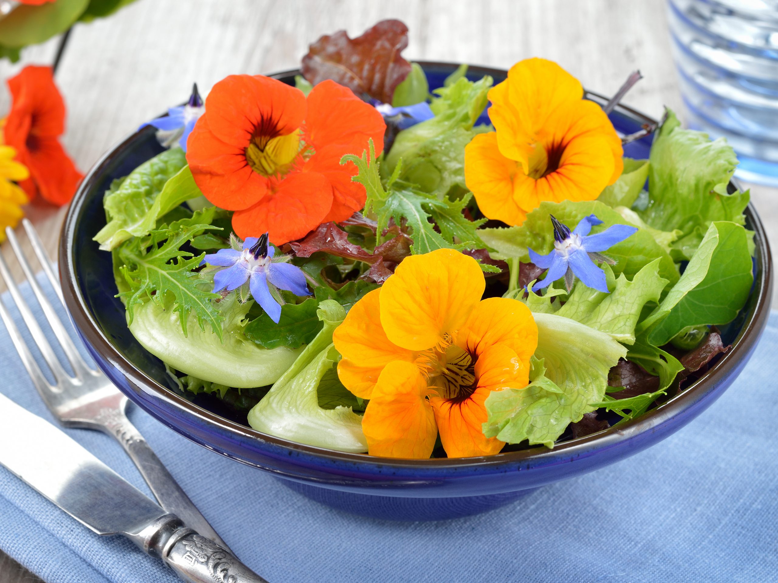 Lauchcrèmesuppe - Rezept | Swissmilk