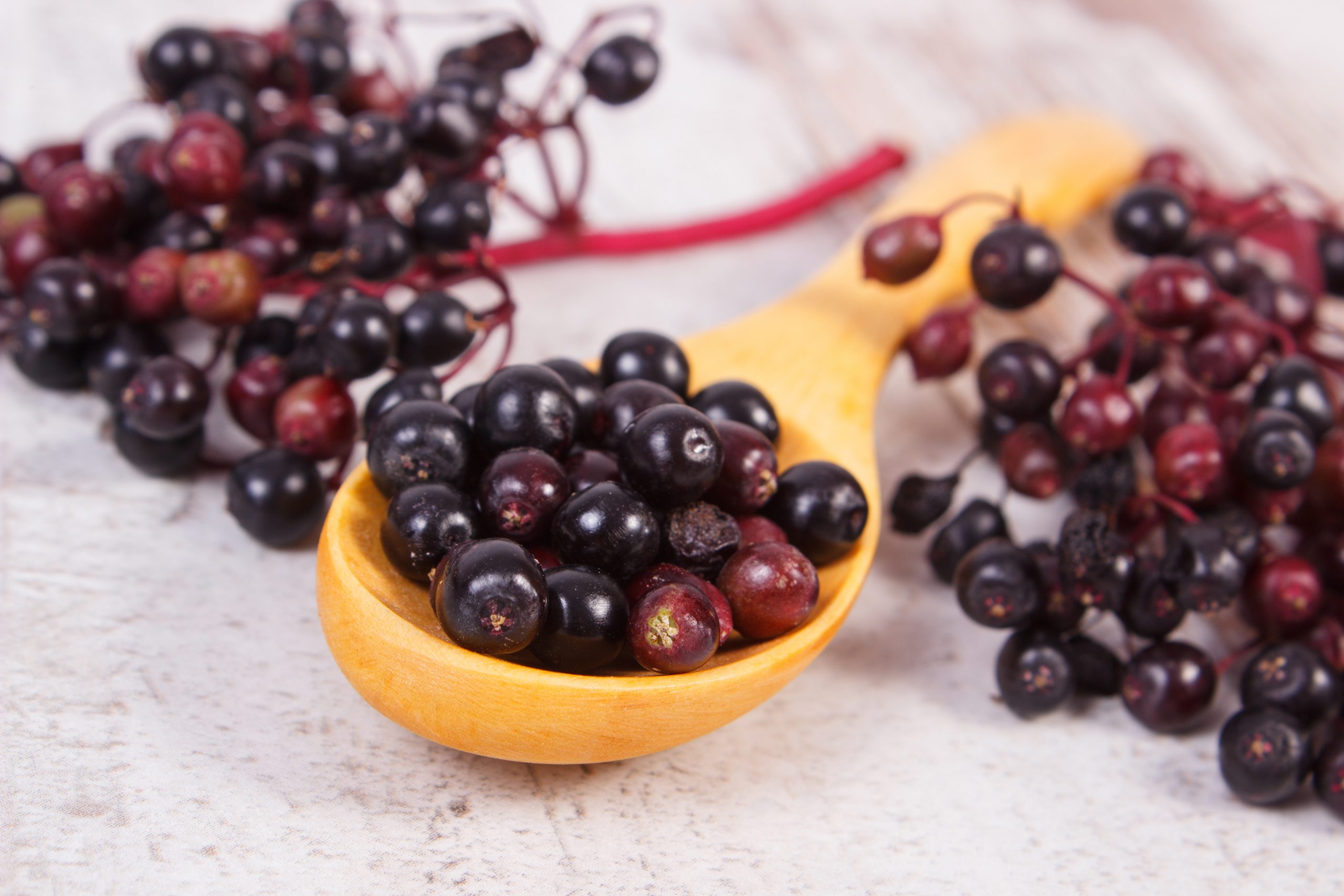 Comment faire de la gelée ou de la confiture de sureau?