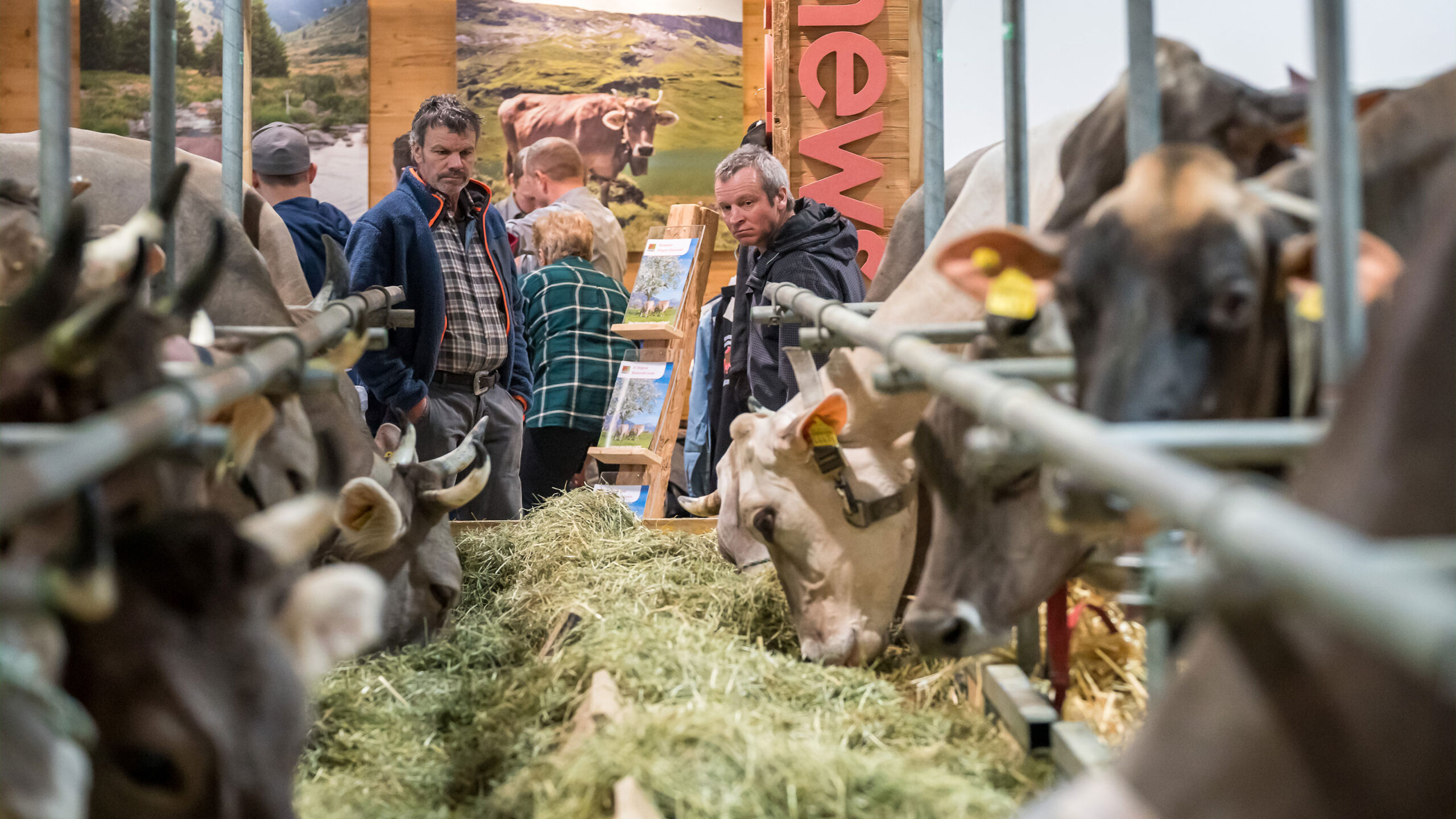 Le salon Tier & Technik propose une exposition d'animaux de haut niveau. (photo Tier & Technik)