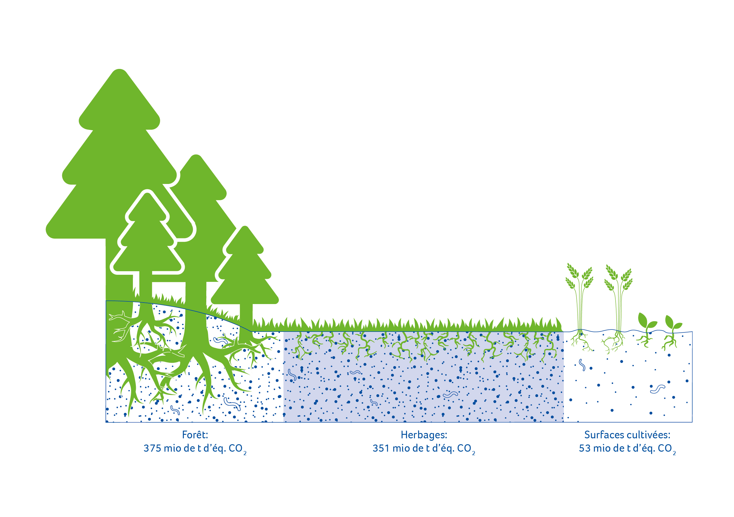 Nos herbages: un grand réservoir d'équivalents CO₂
