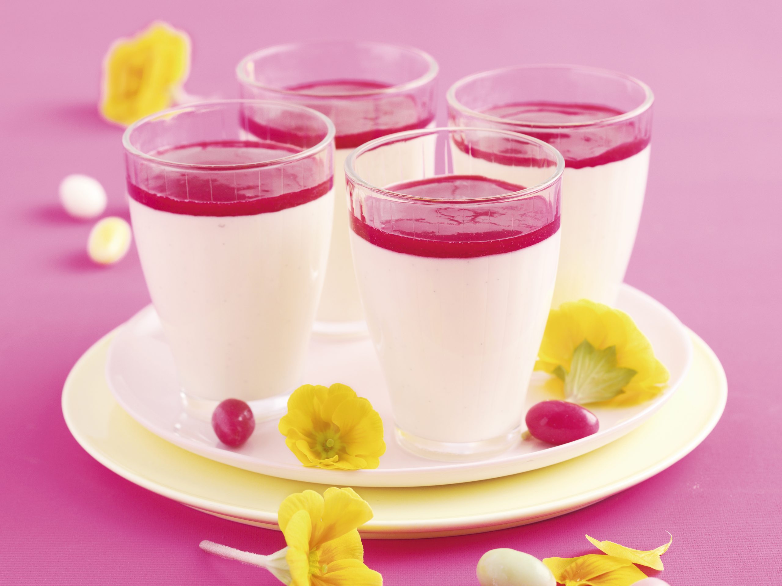 Bavarois mit Himbeercoulis