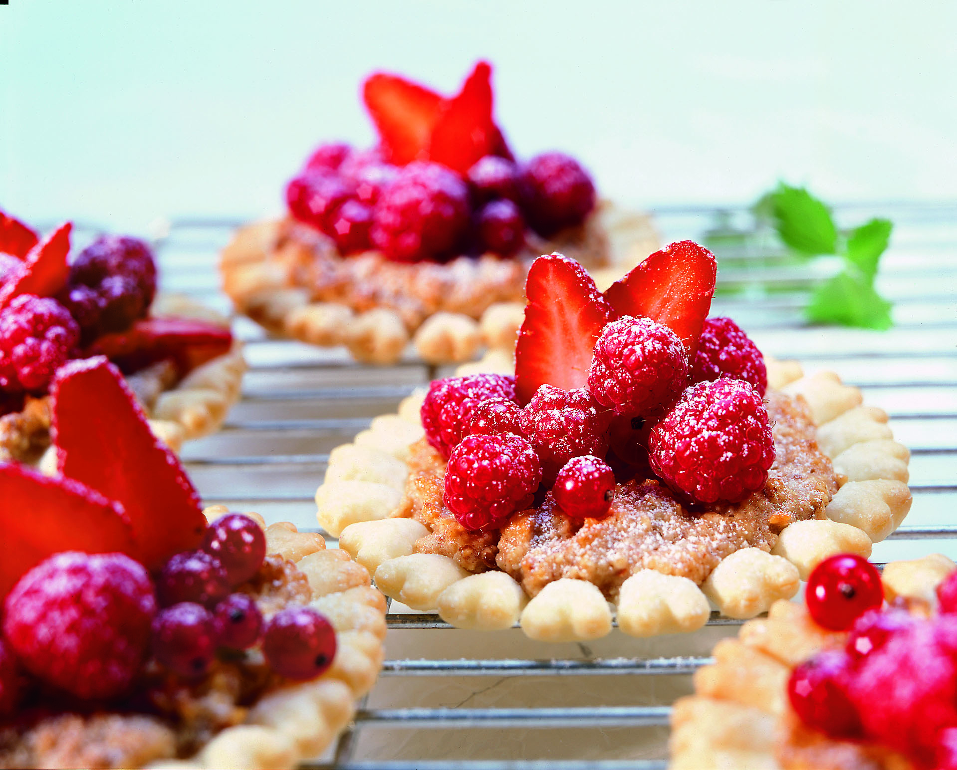 Beeren-Sonnen