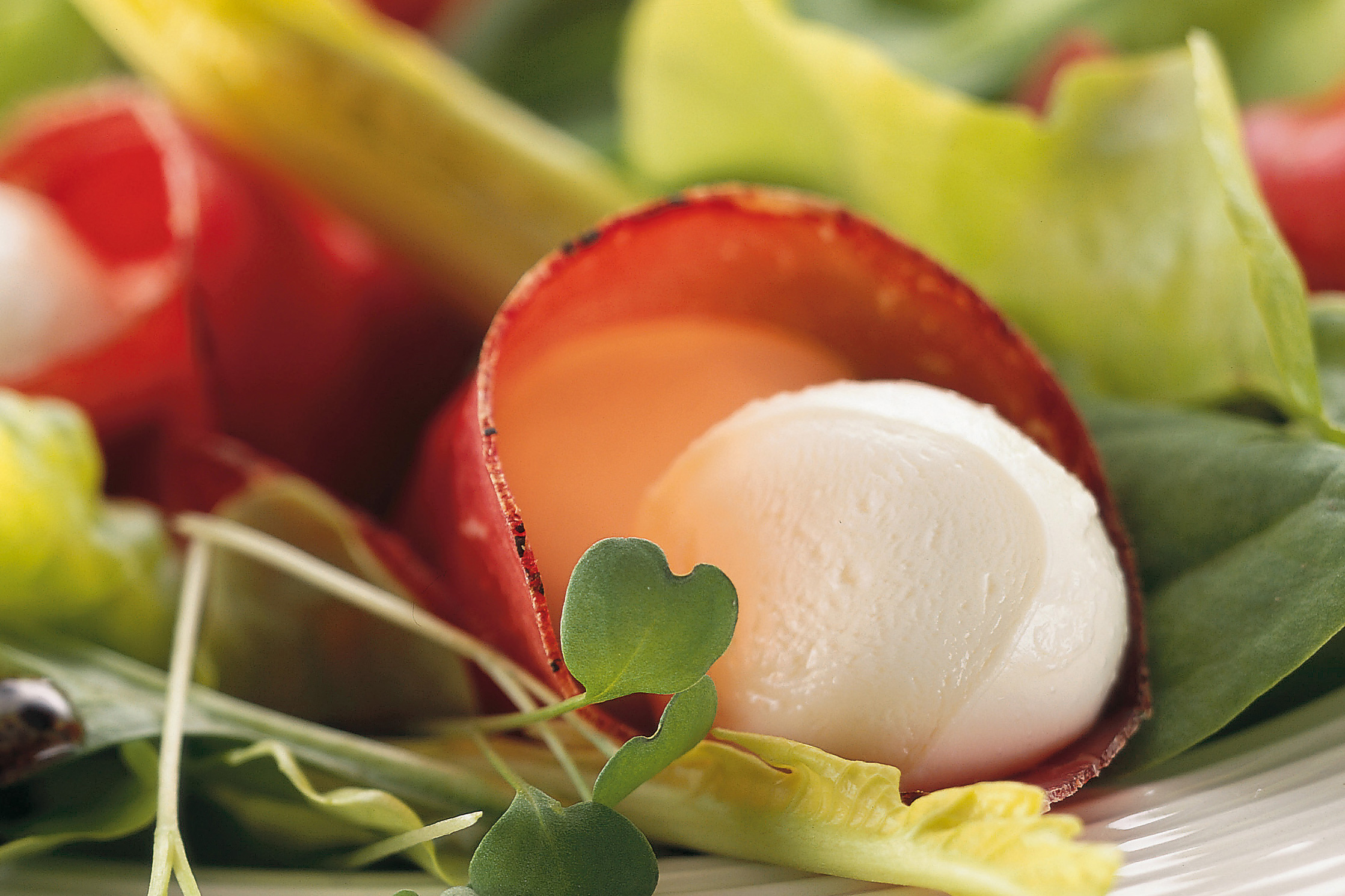 Blattsalat mit Bündnerfleisch und Mozzarella