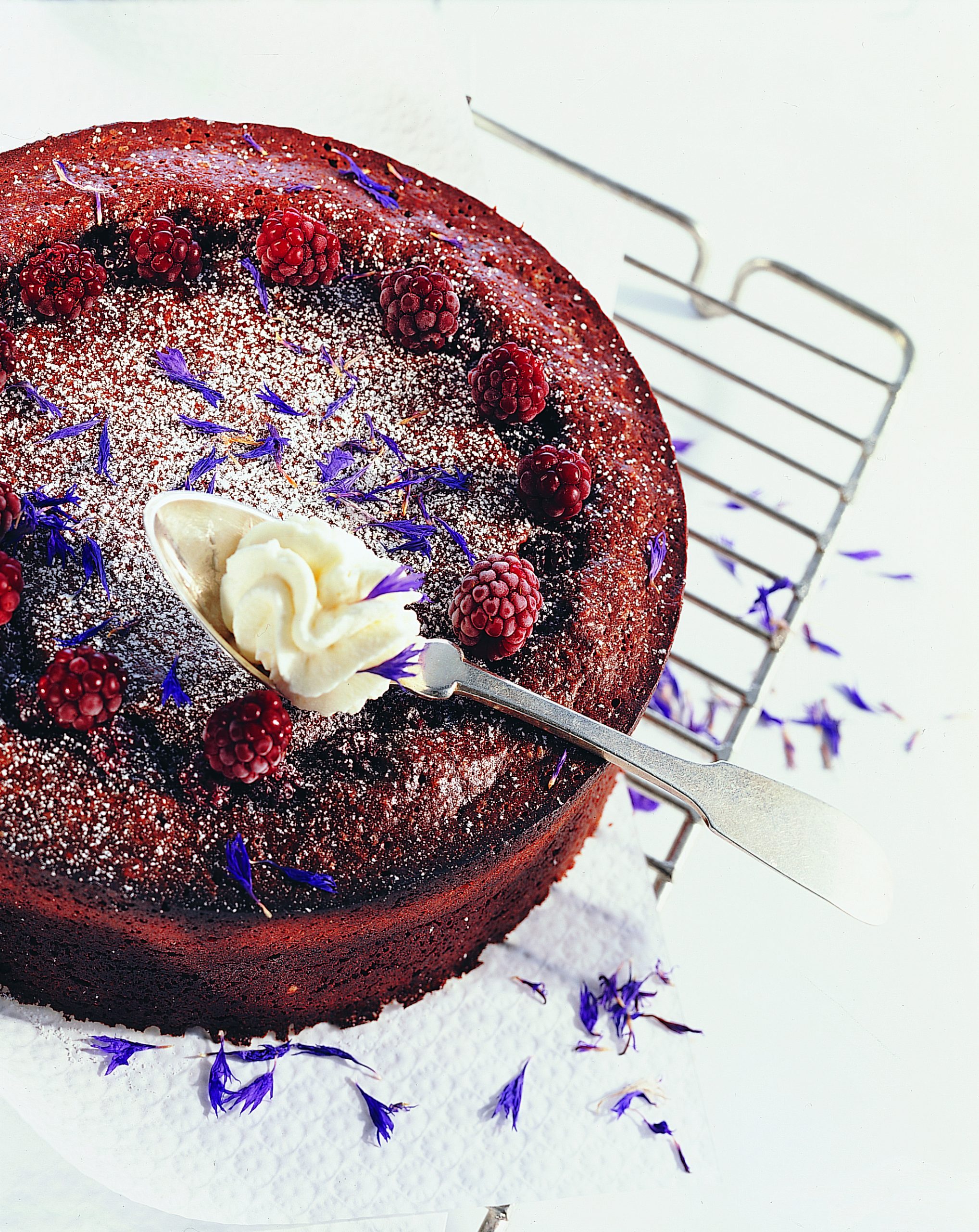 Gâteau au chocolat et aux mûres
