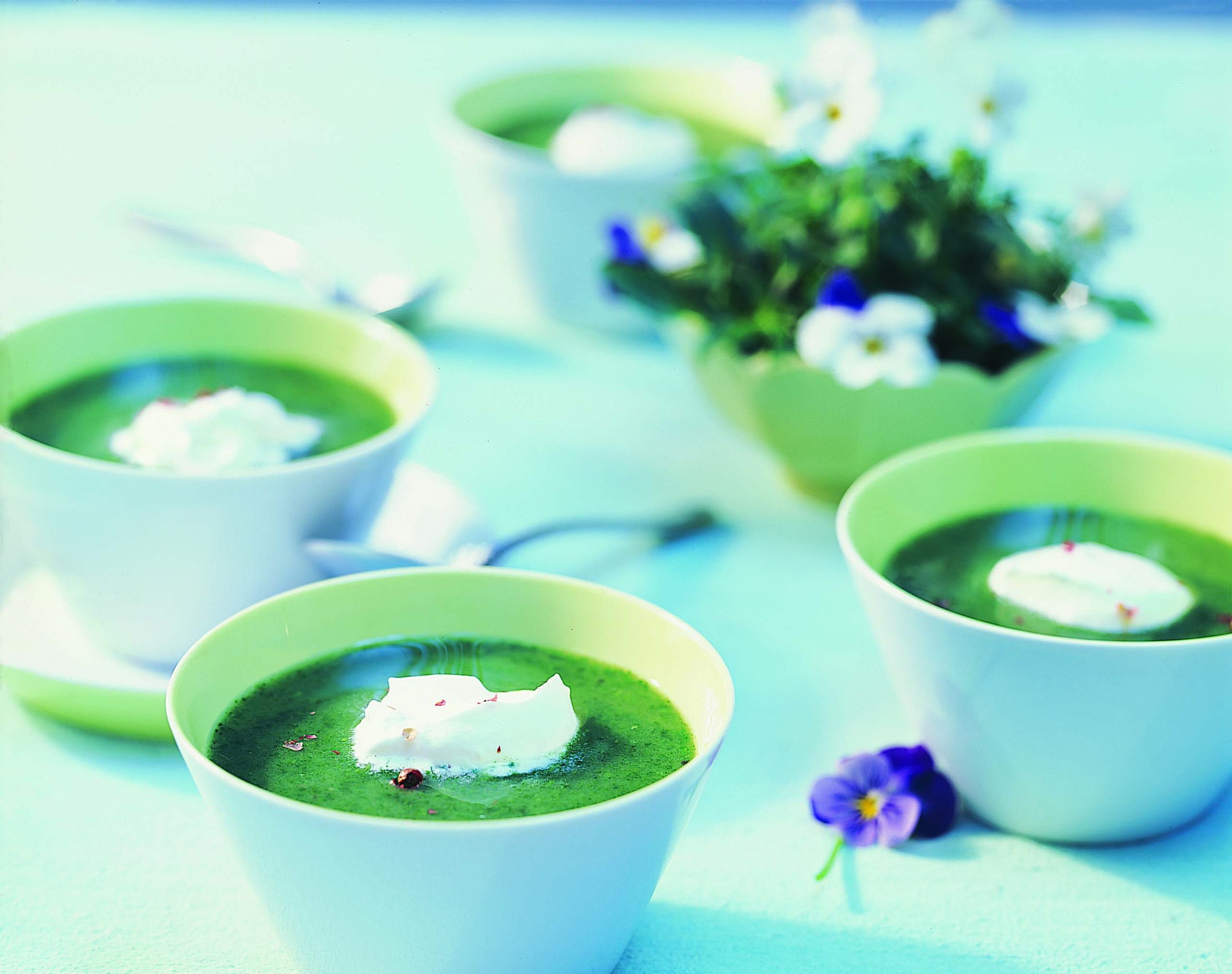 Brunnenkresse-Suppe mit Pfeffer-Rahmhaube