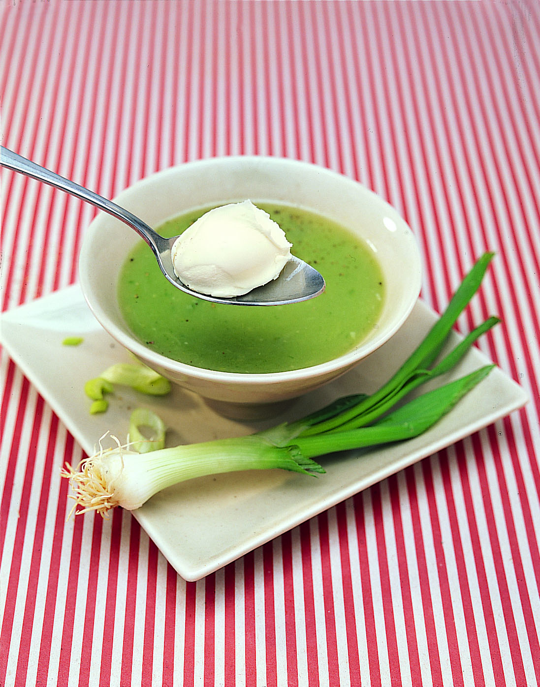 Potage aux oignons frais et aux pommes de terre