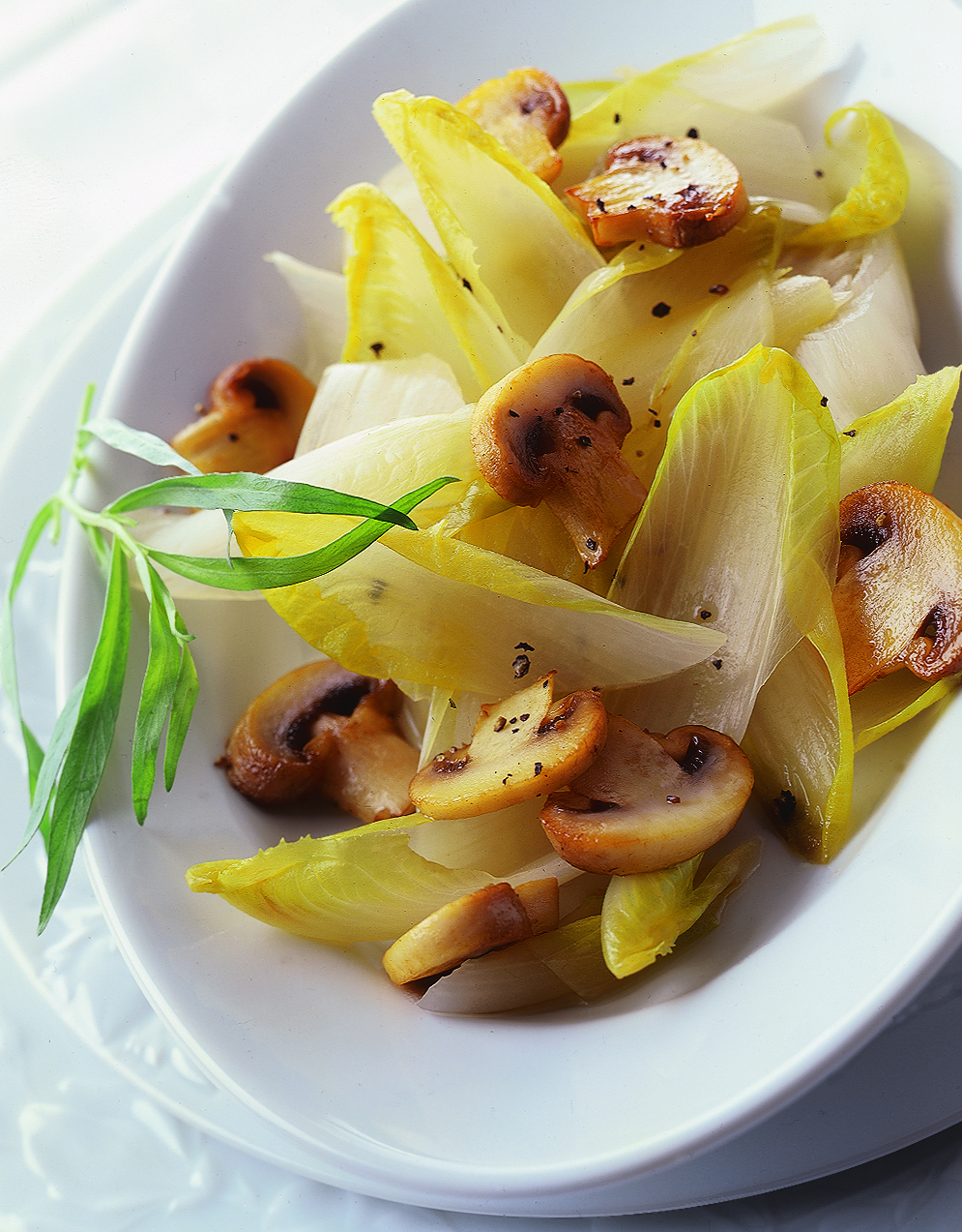 Chicorée mit Champignons