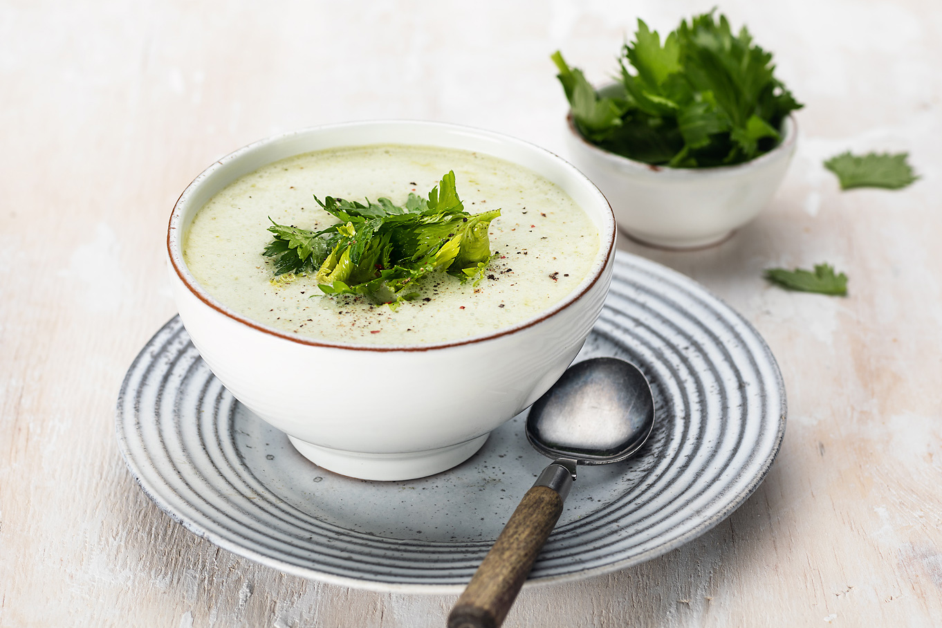 Crème de céleri