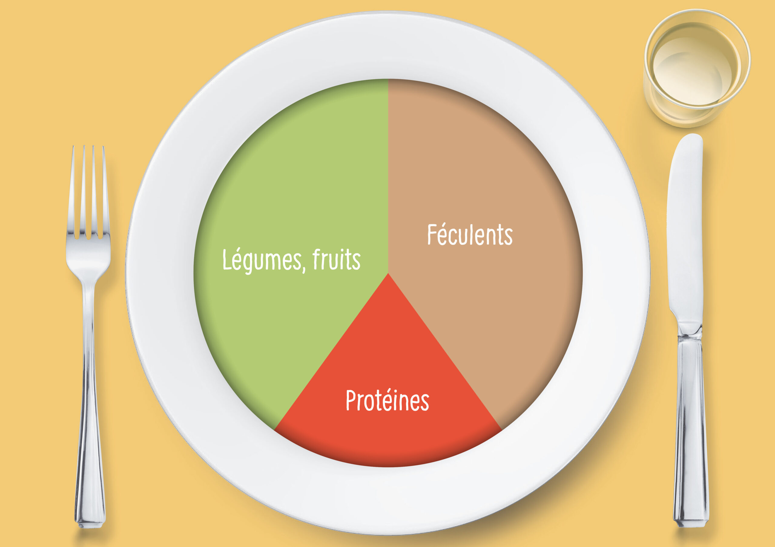 L'assiette optimale pour une alimentation saine