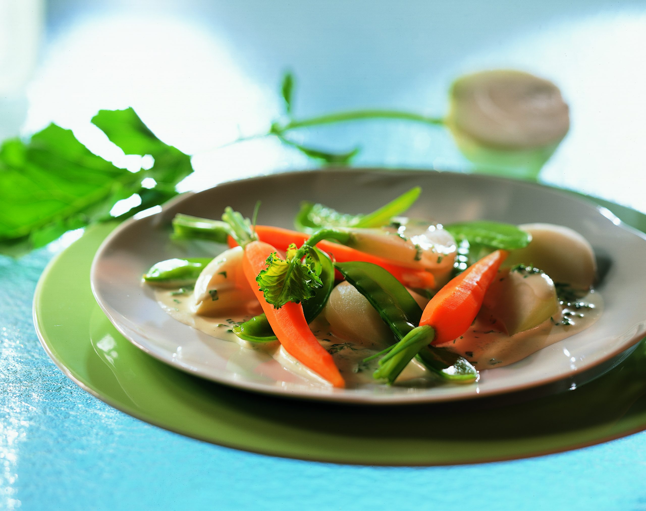 Frühlingsgemüse an Kräutersauce