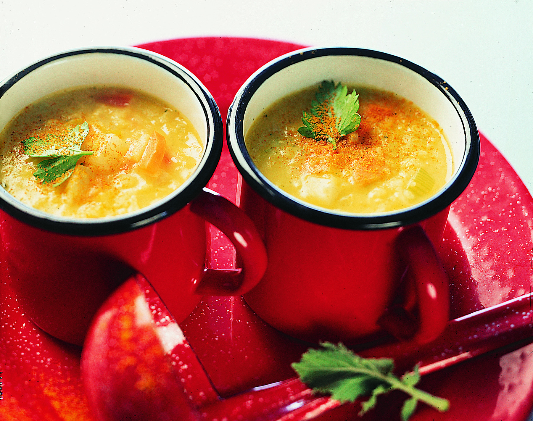 Frühlingsgemüsesuppe
