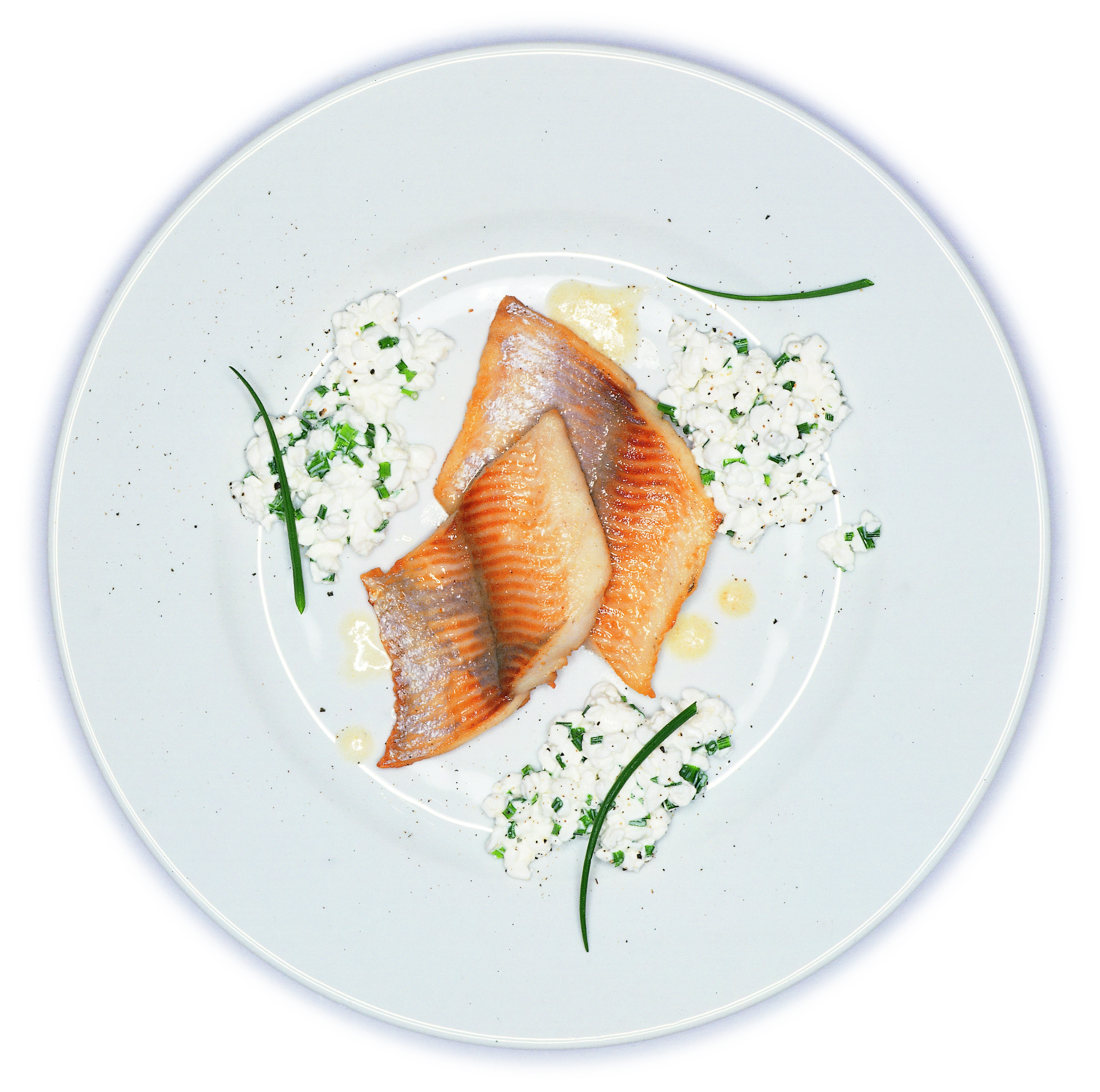 Gebratene Forellenfilets mit Meerrettichhüttenkäse