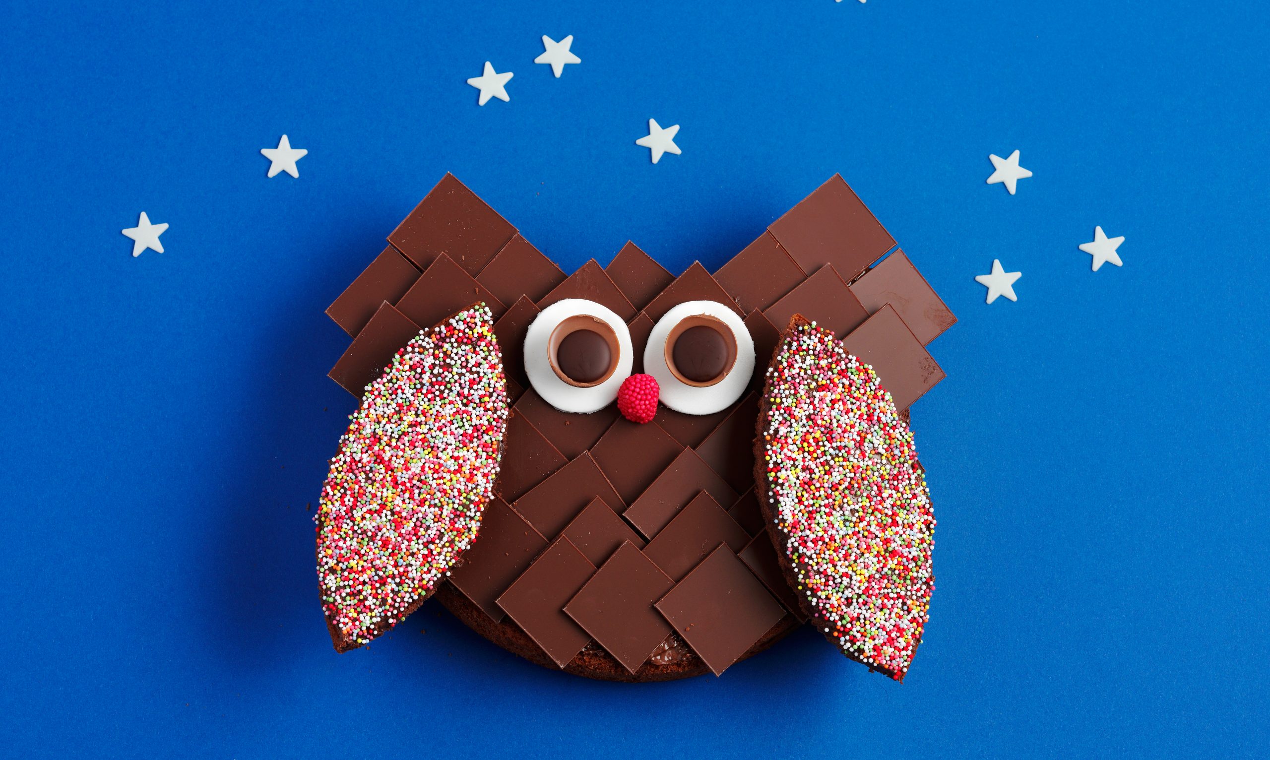 Gâteau d'anniversaire hibou