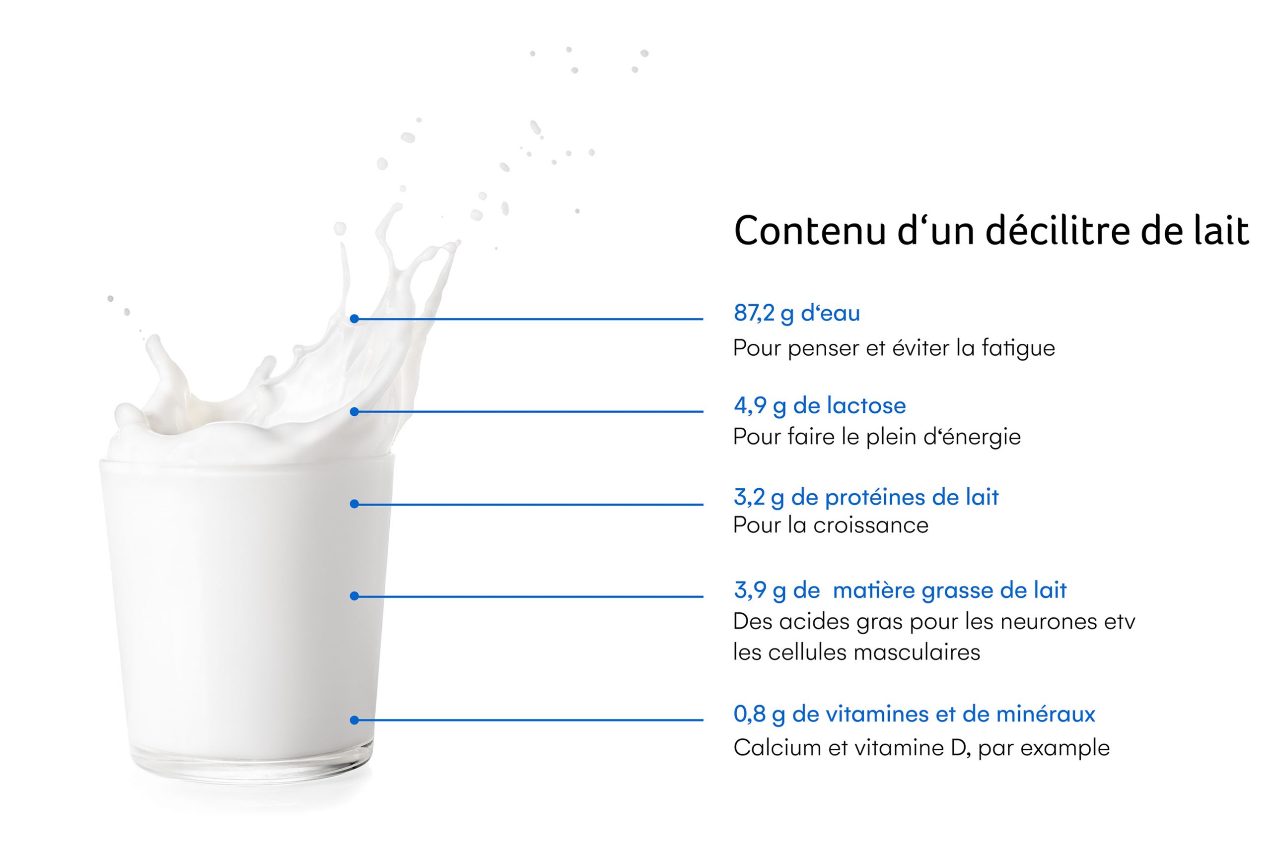 Dans le lait, tout y est.