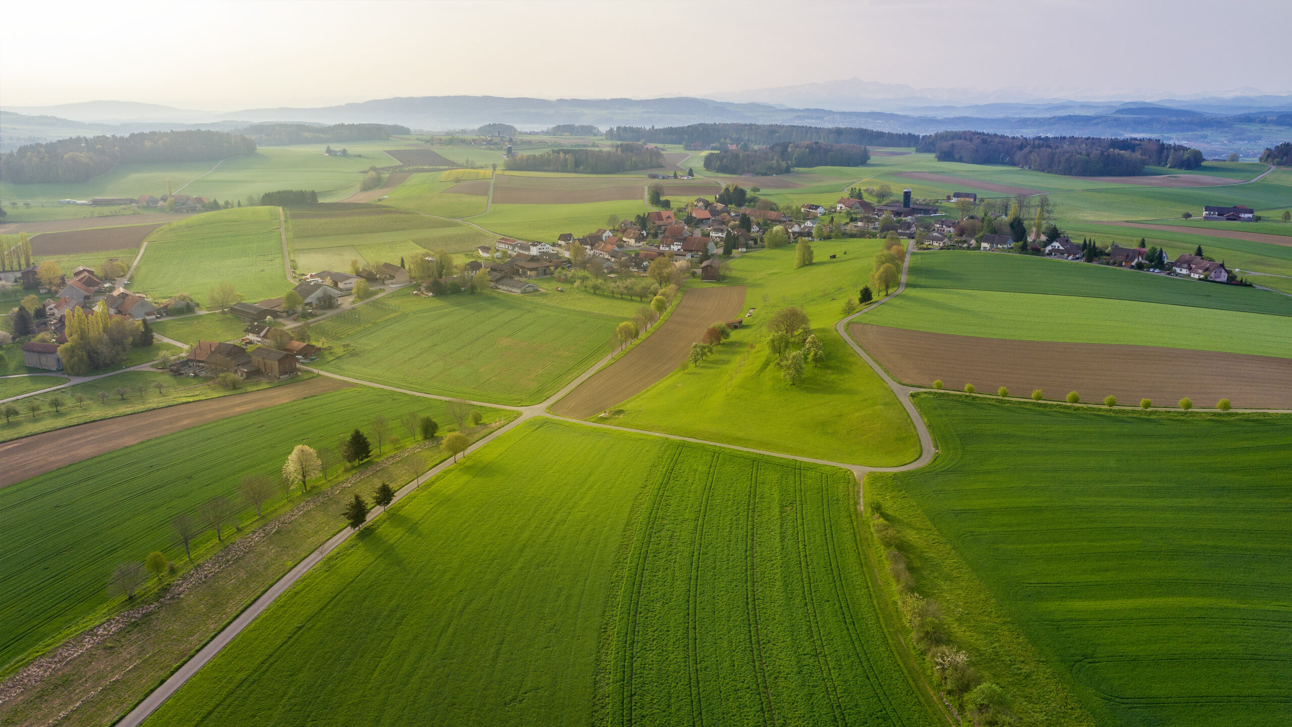 Die Schweiz: für ihre weiten Graslandflächen weltweit bekannt