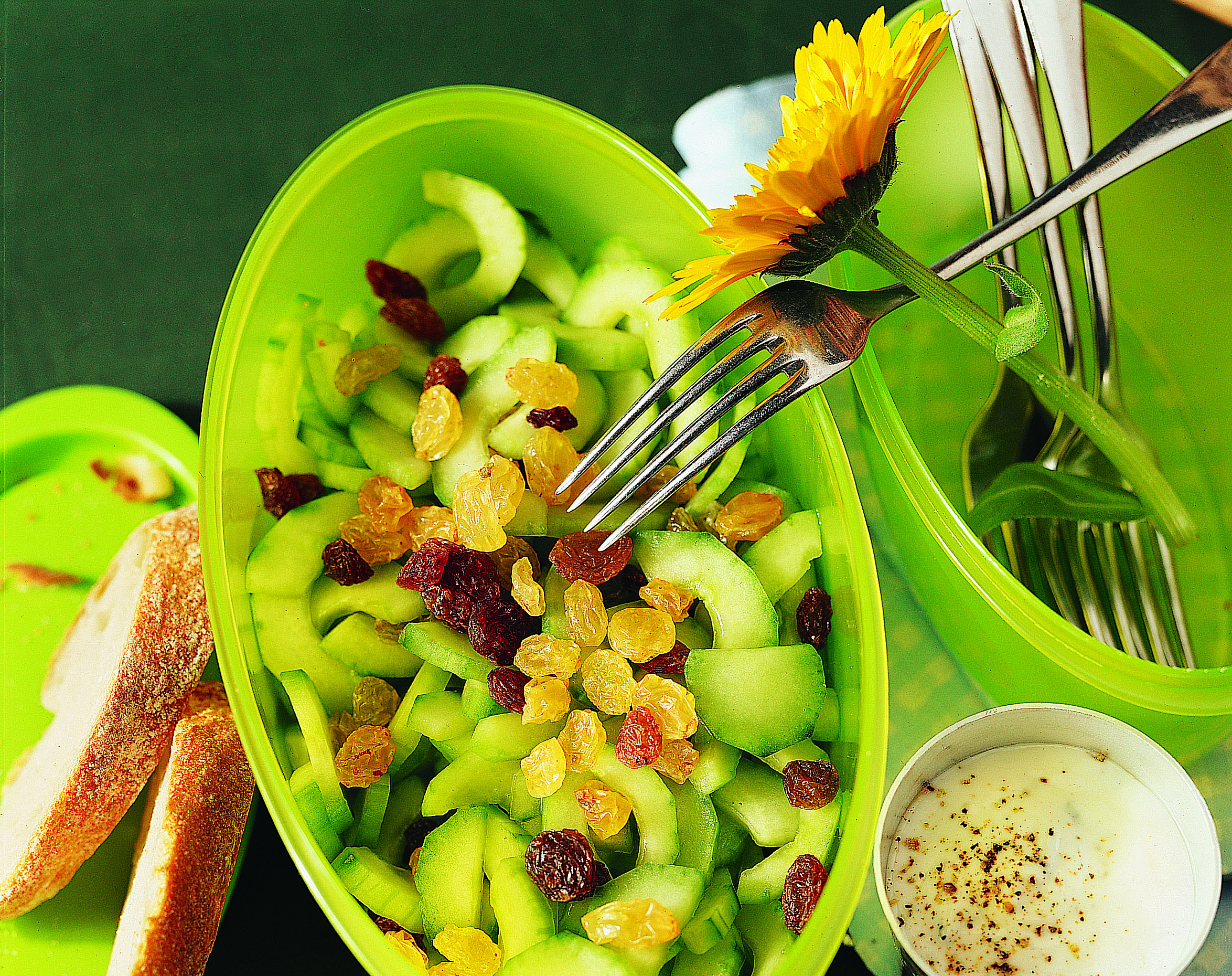 Gurken-Sultaninen-Salat