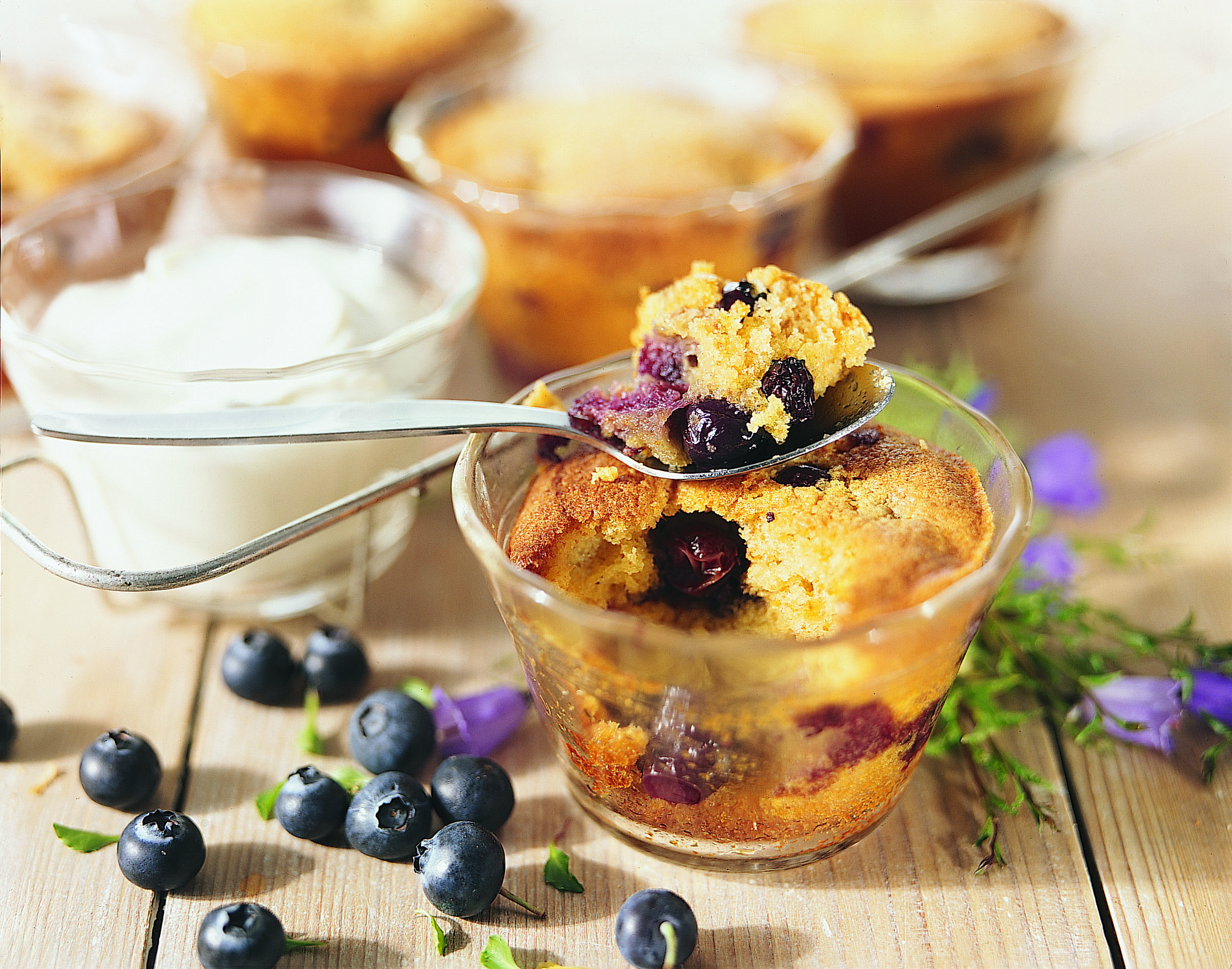 Heidelbeer-Honig-Puddings