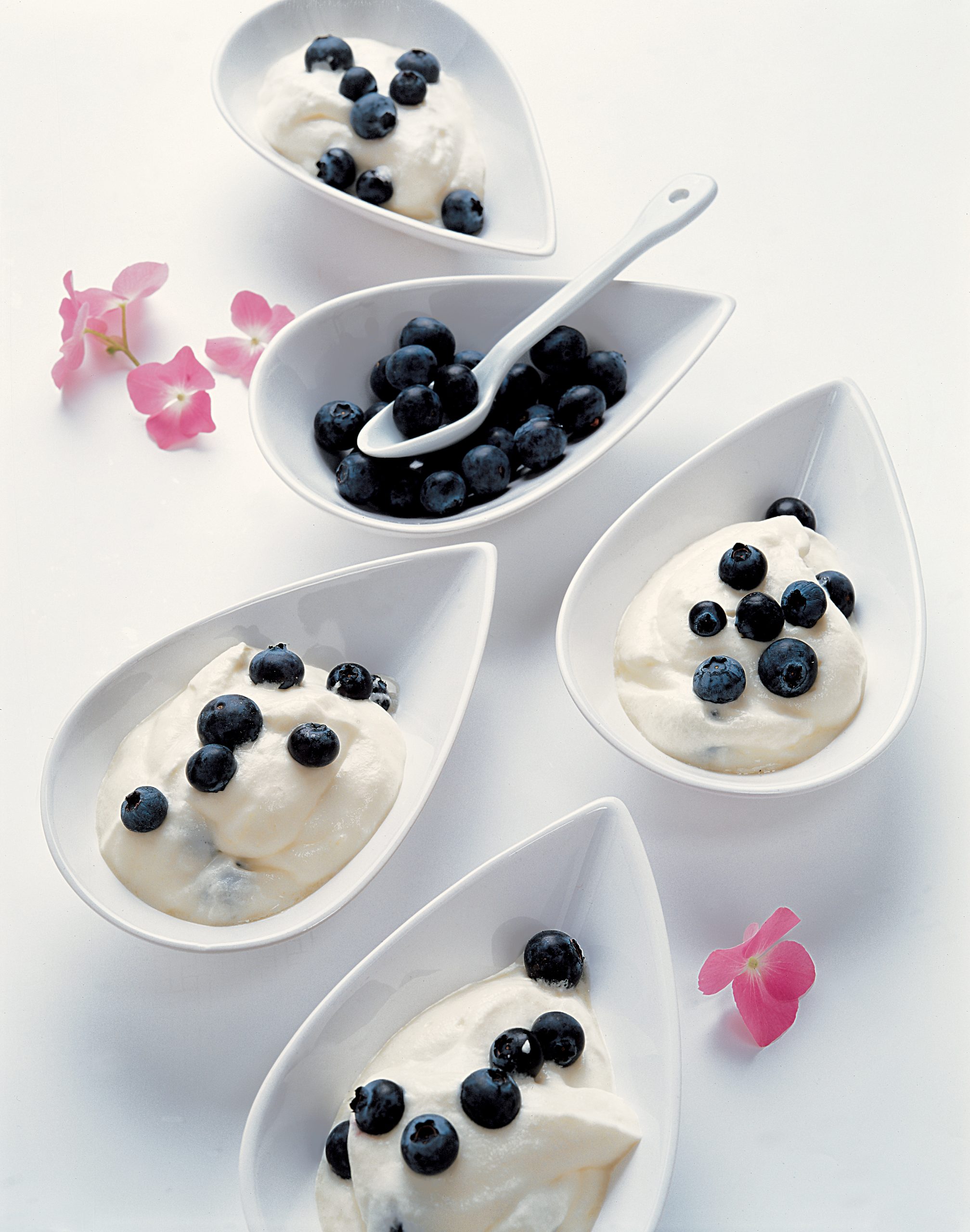 Mousse aux myrtilles