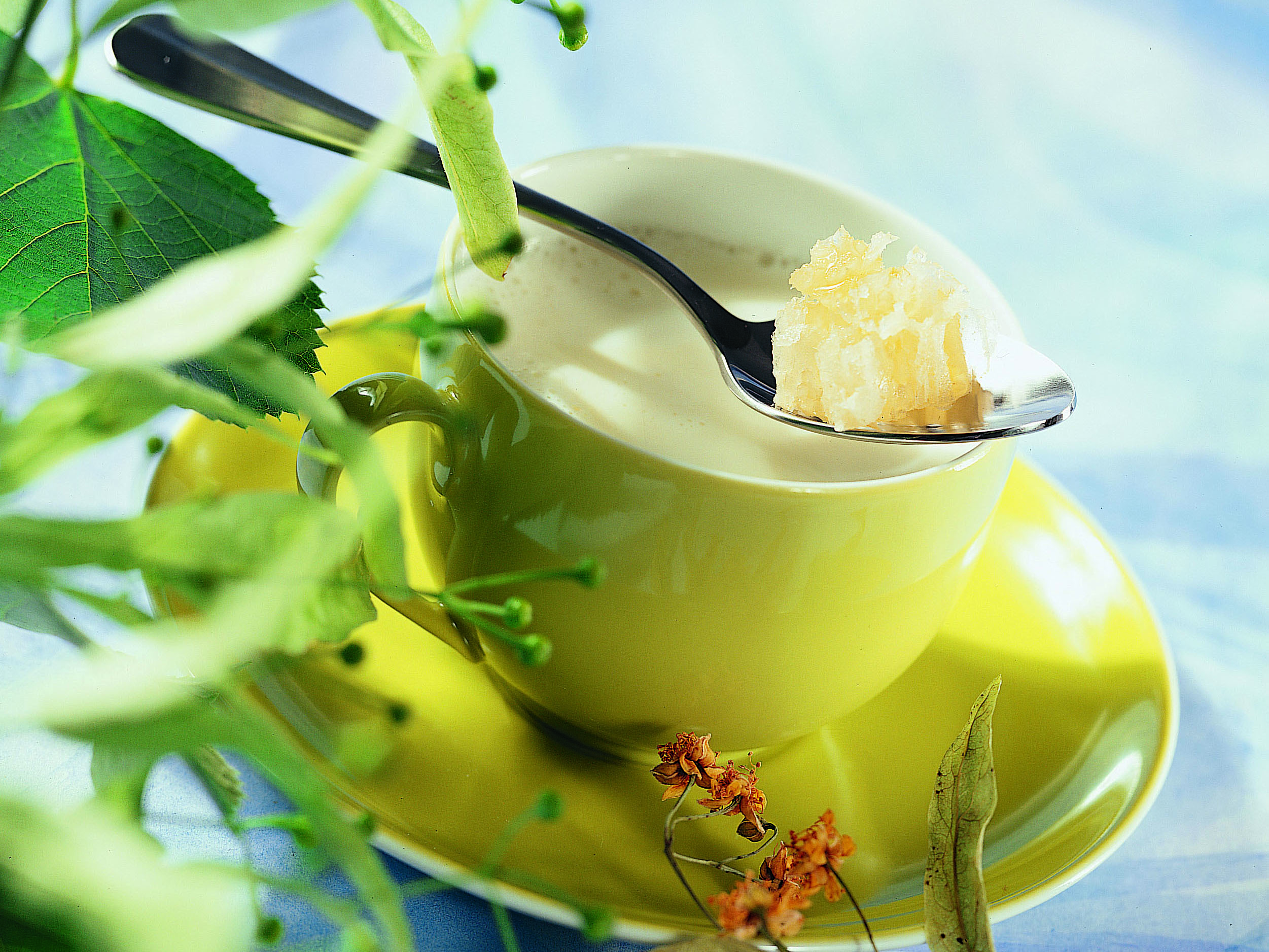 Heisse Lindenblütenmilch