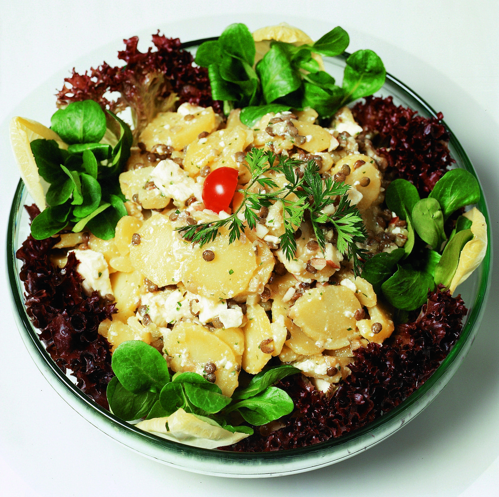Kartoffel-Linsen-Salat an Apfel-Vinaigrette