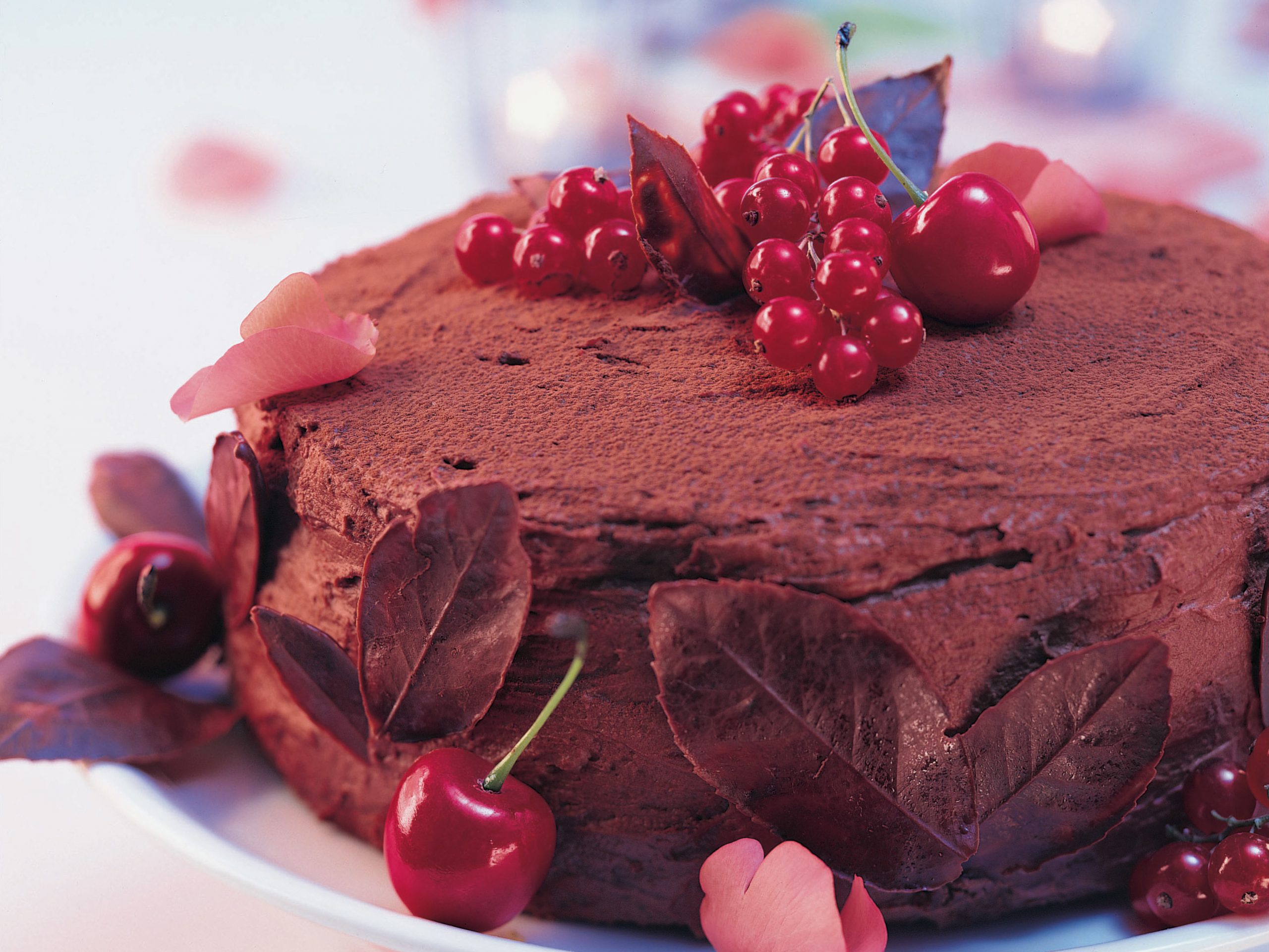 Kirschen-Schokoladen-Torte