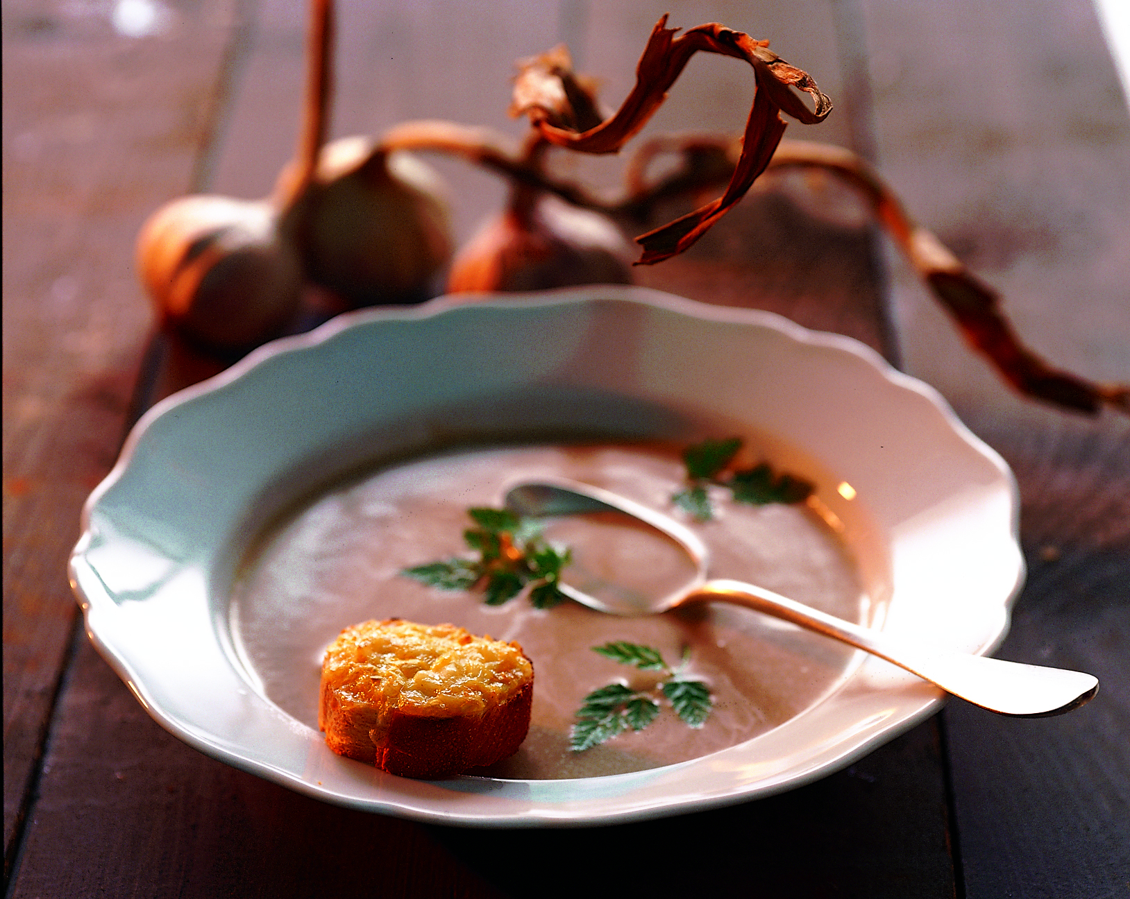 Velouté d'ail au cerfeuil et toasts au camembert