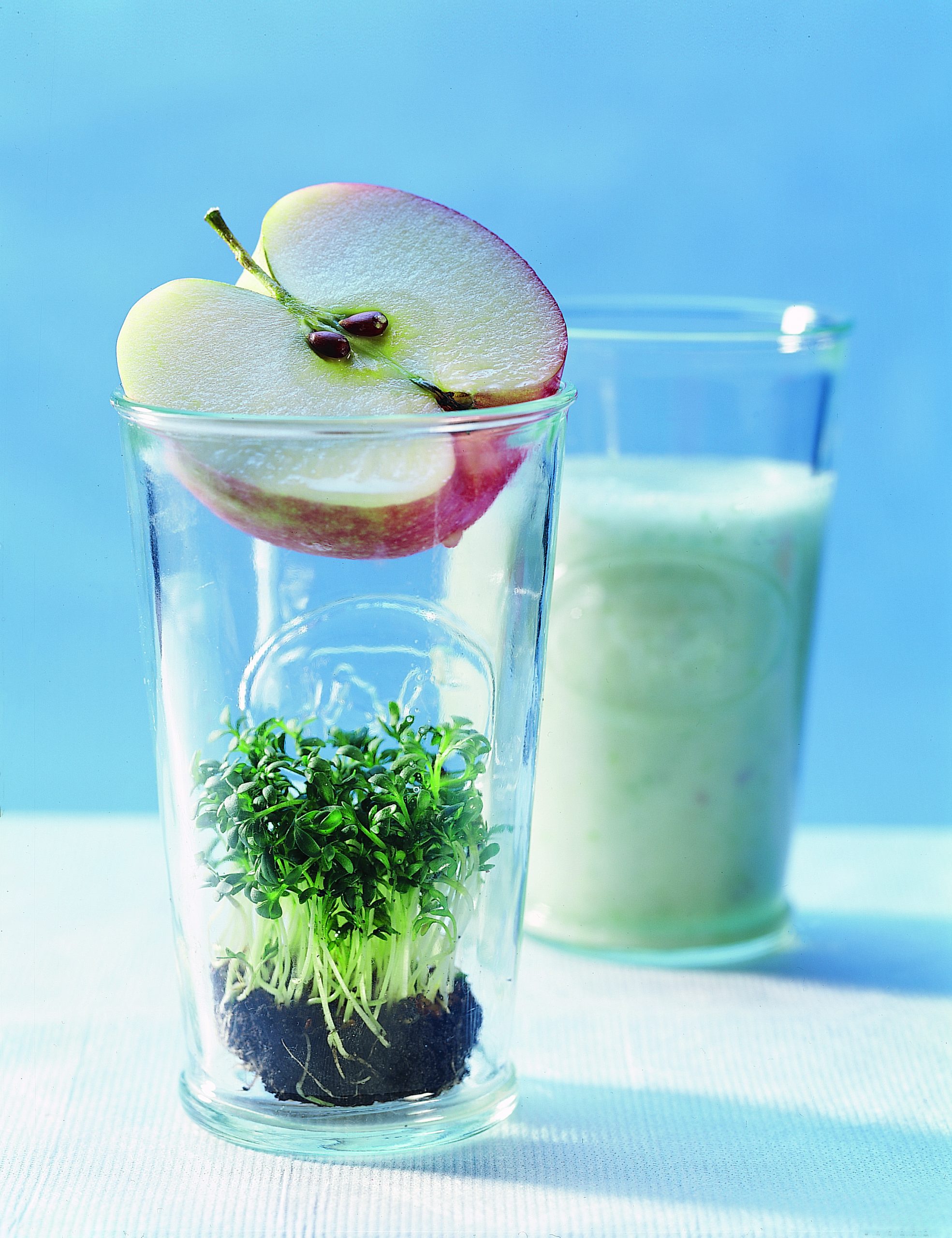 Frappé pommes et cresson