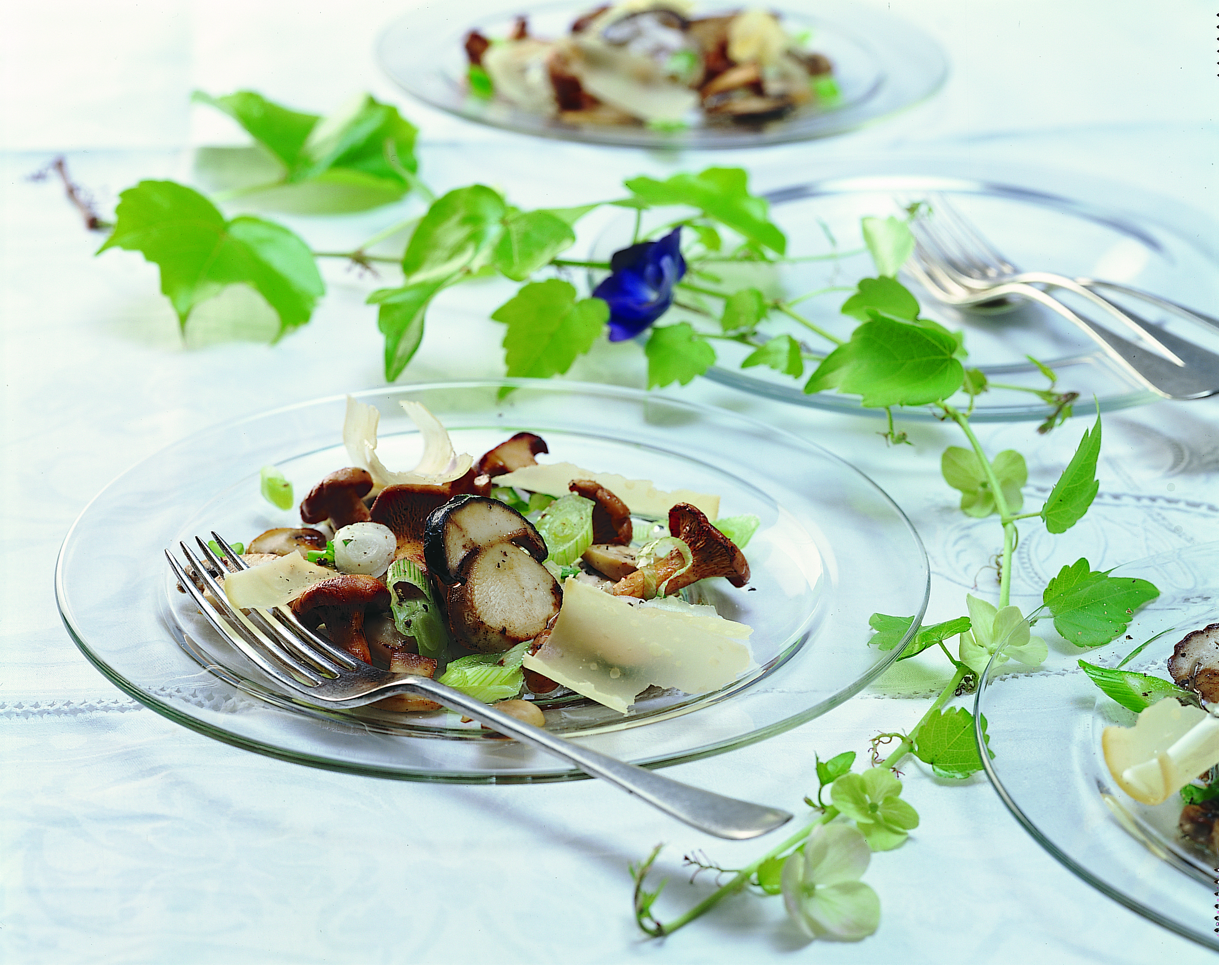 Lauwarme Pilze mit Hobelkäse
