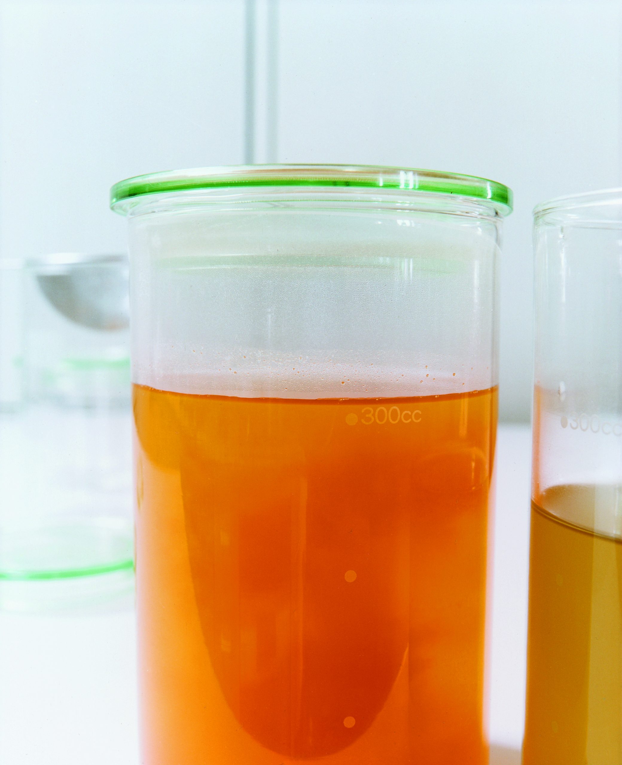 Consommé de maïs