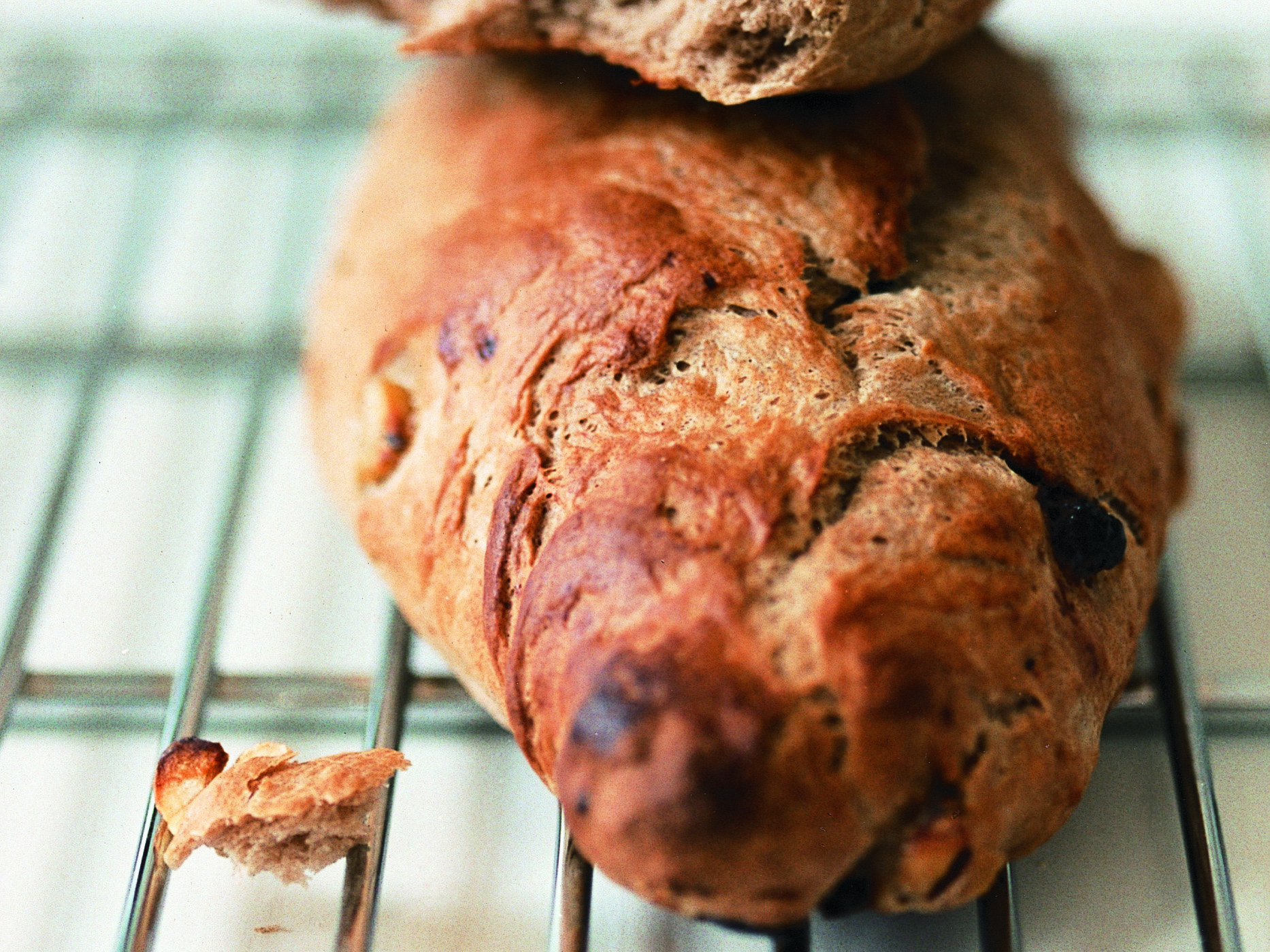 Marronibrot