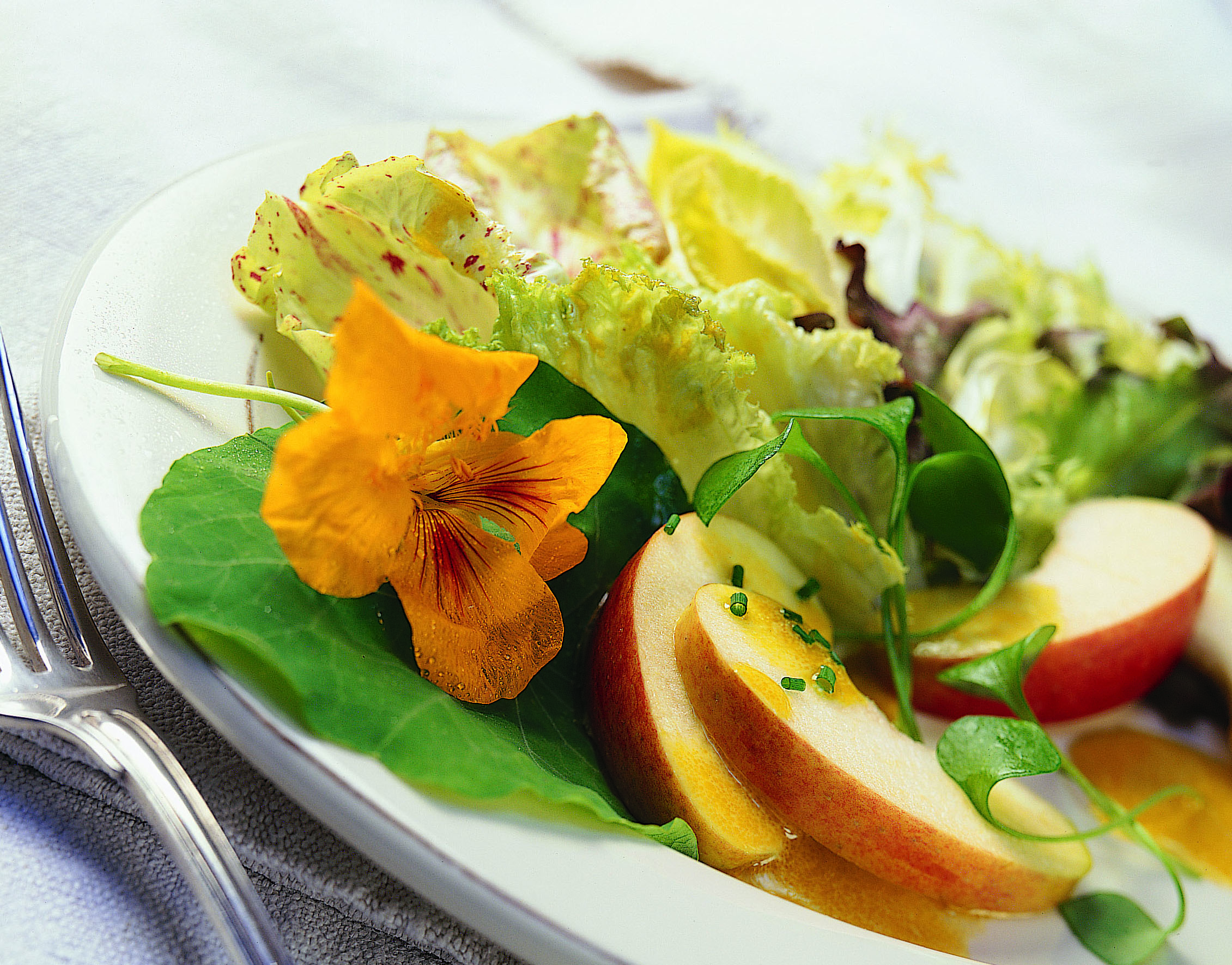 Merlischacher Salat