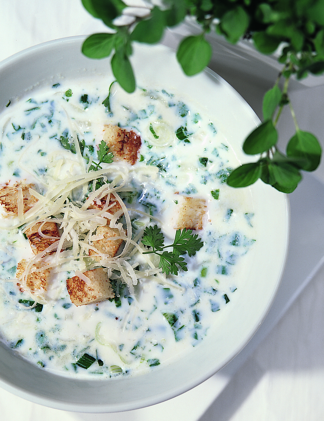 Soupe au lait et aux légumes d'été