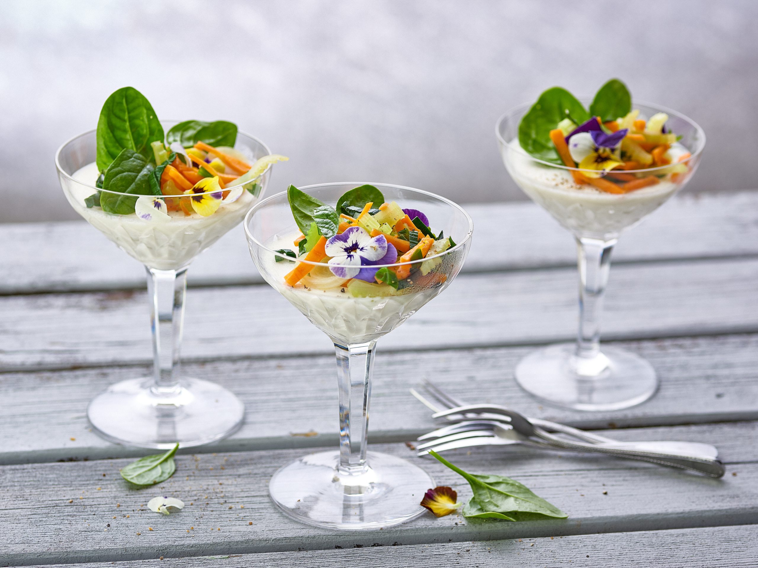 Mozzarella-Panna-cotta mit Gemüse-Salat