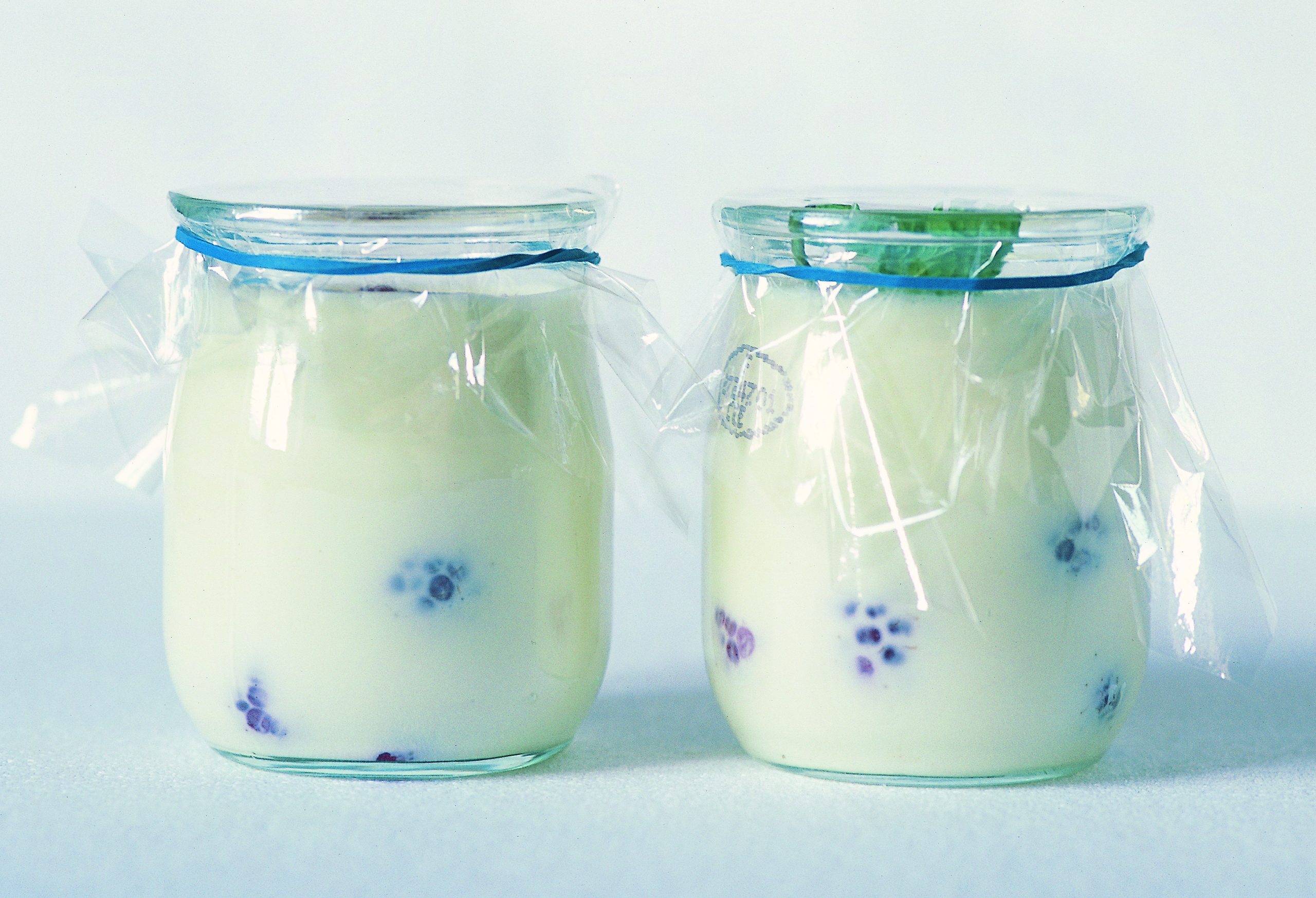 Panna cotta en bocal