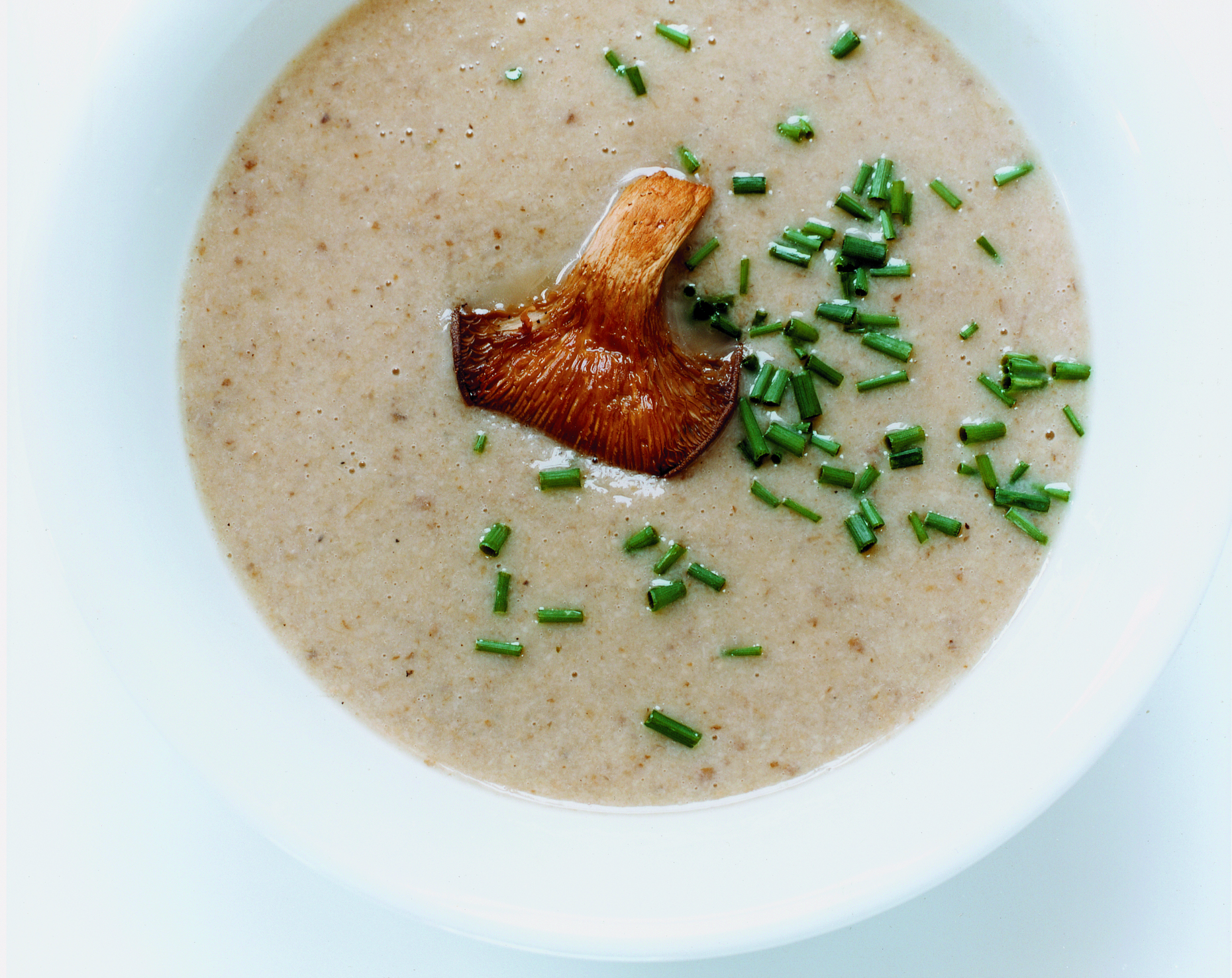 Crème de champignons