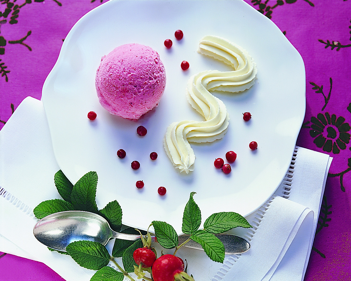 Preiselbeersorbet mit weissem Schokoladenrahm