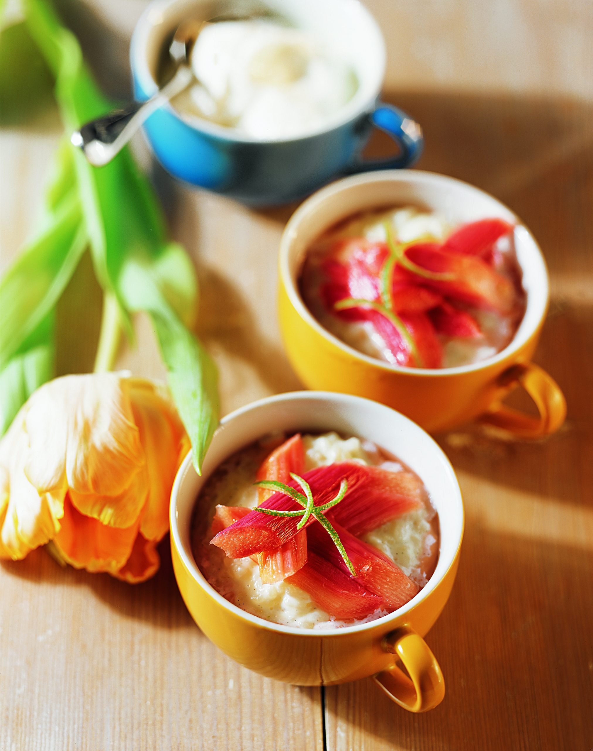 Rhabarber-Joghurt-Reis