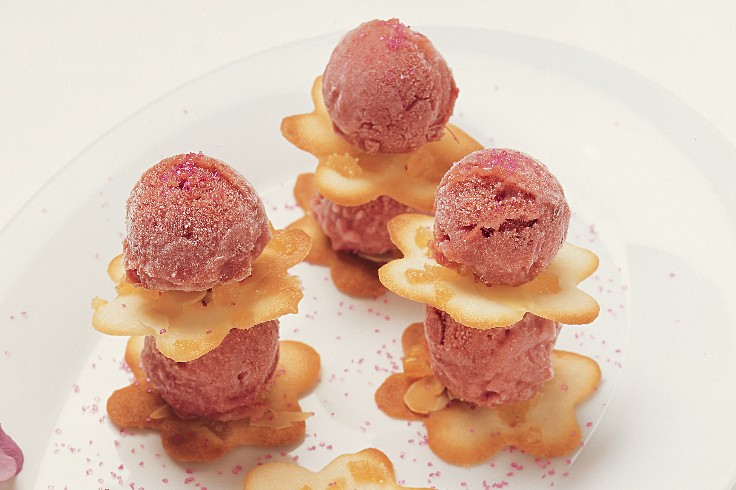 Rhabarbersorbet auf Ingwer-Tuiles