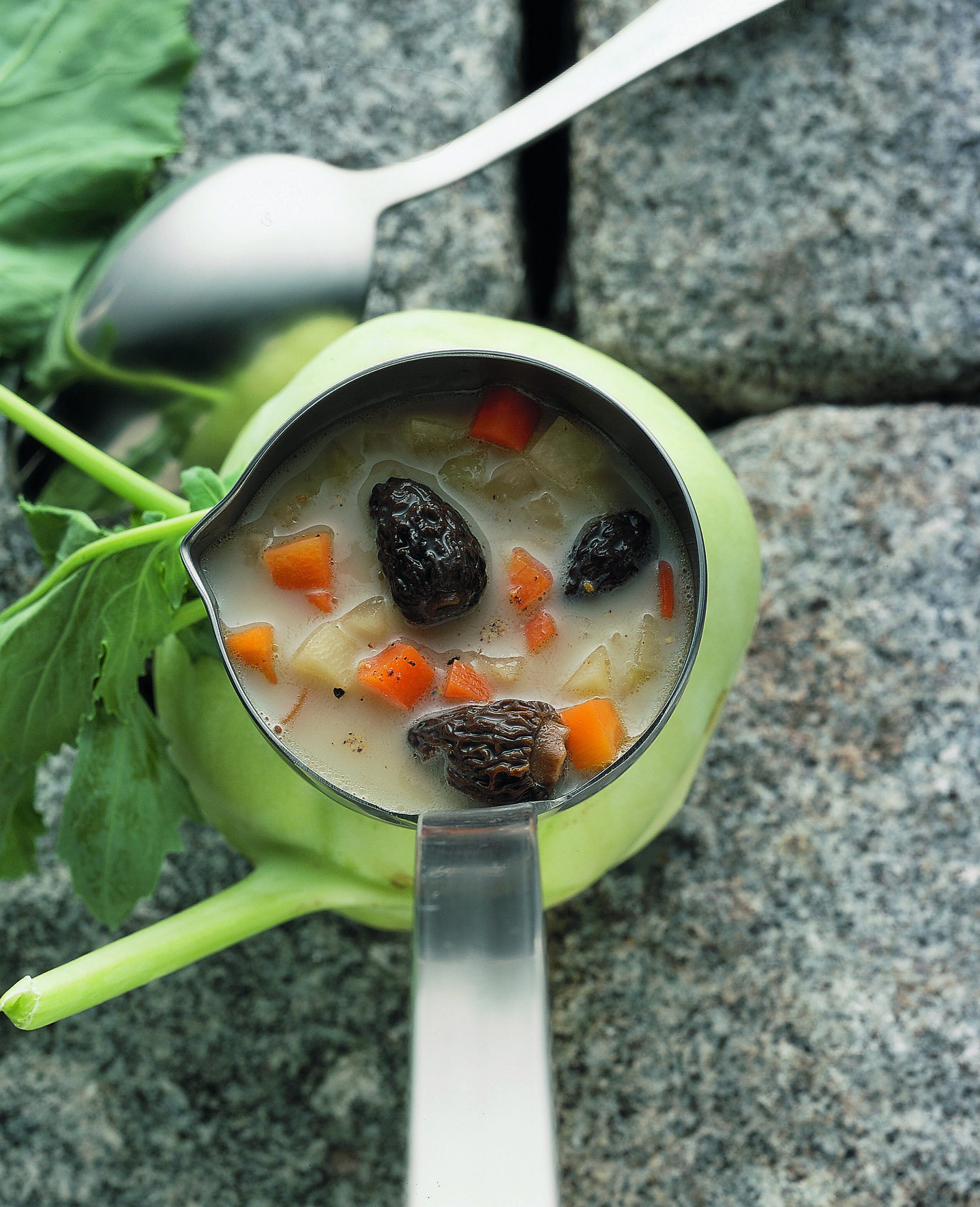 Soupe aux morilles
