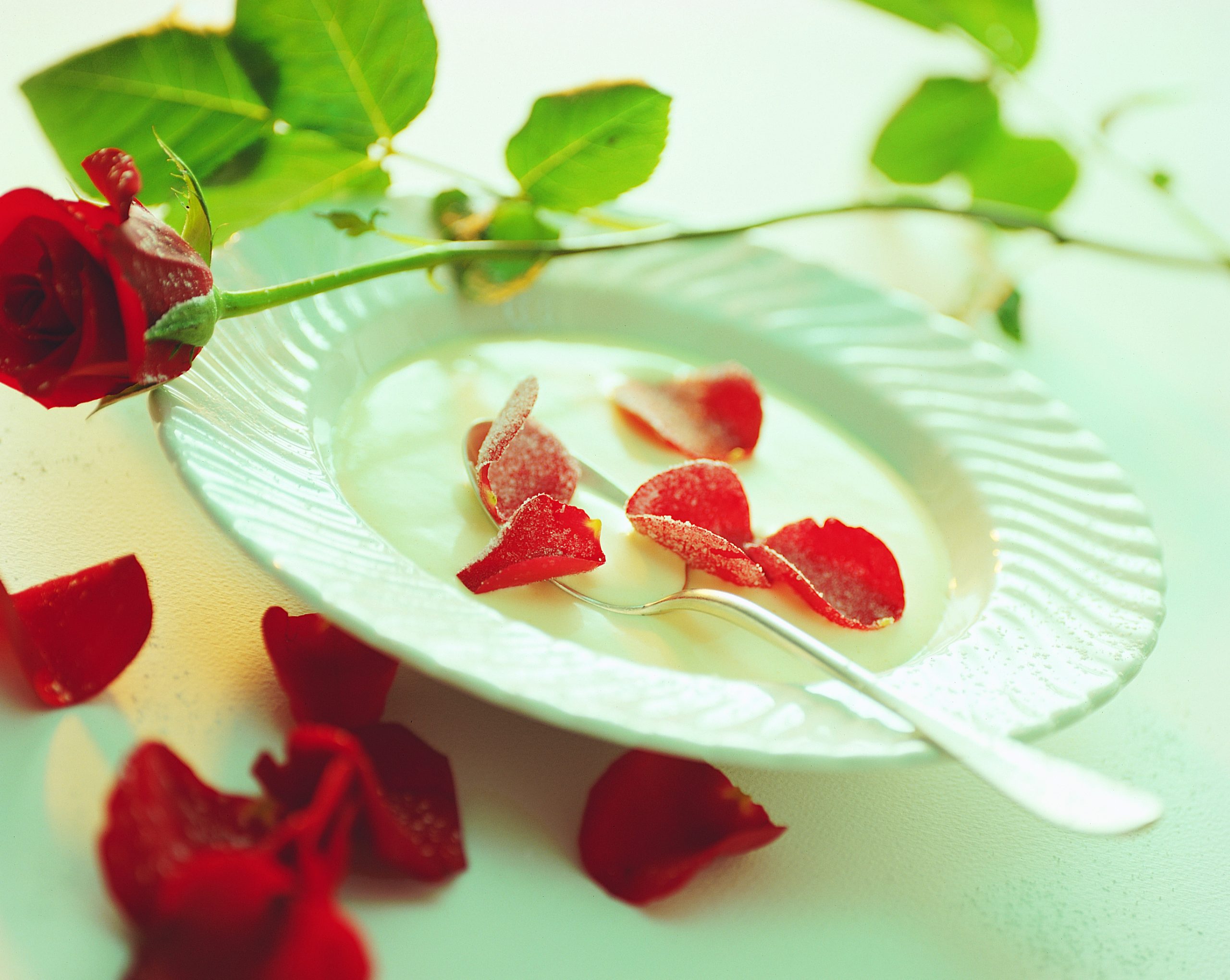 Rosencreme mit gezuckerten Blüten