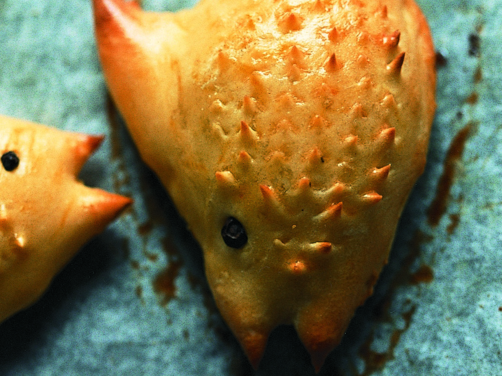 Petits poissons au safran