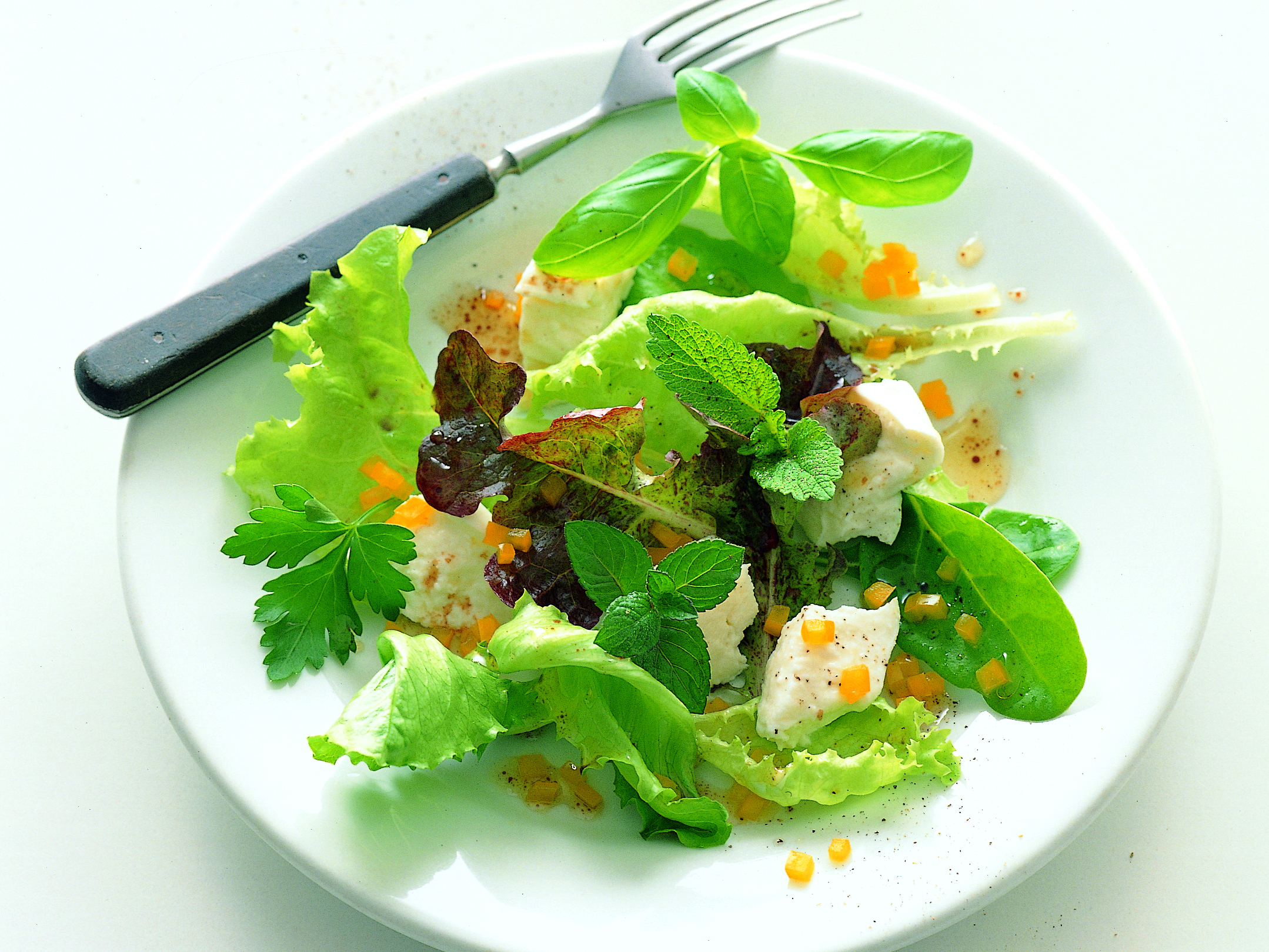 Salade aux fines herbes et à la mozzarella