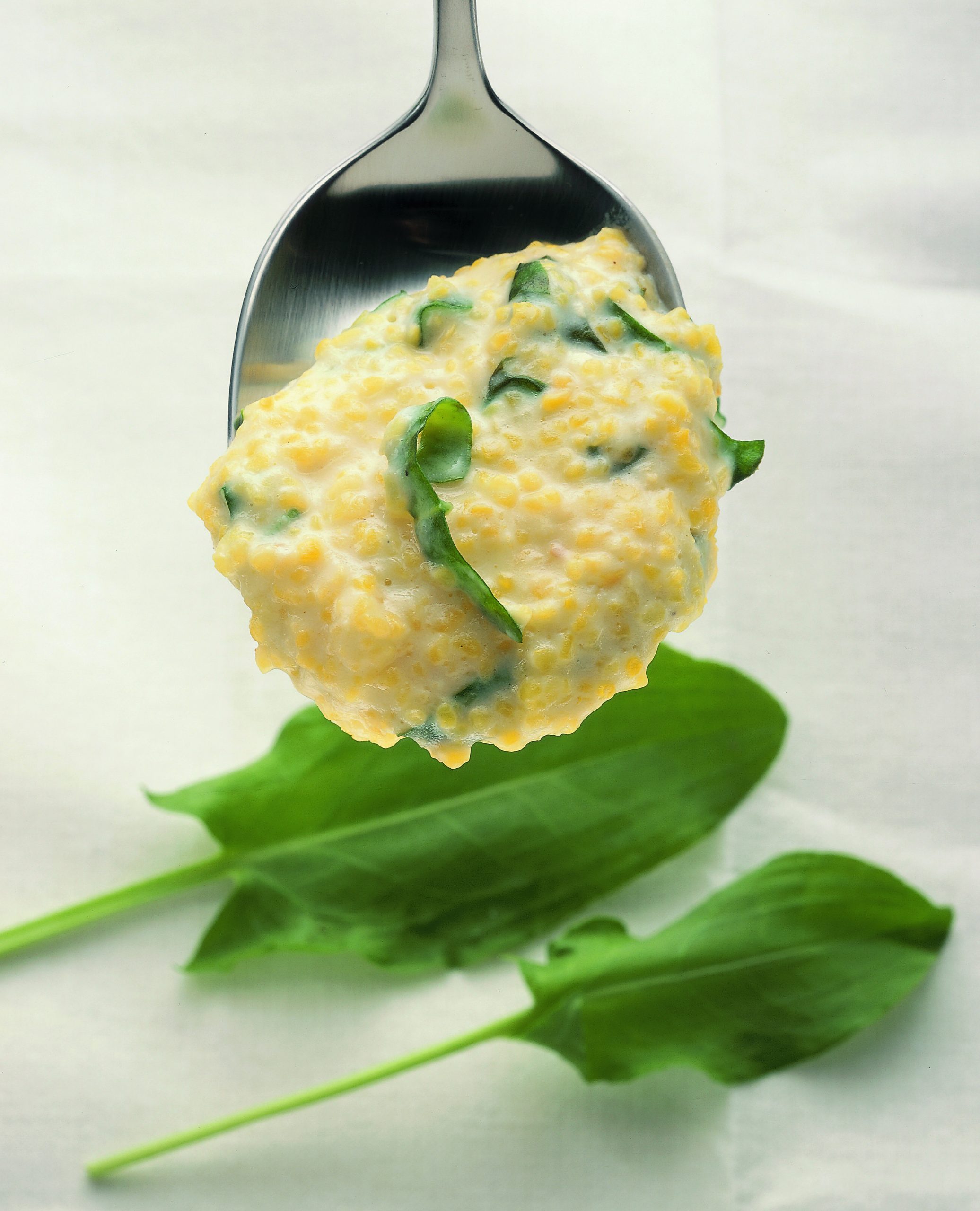 Sauerampfer-Polenta