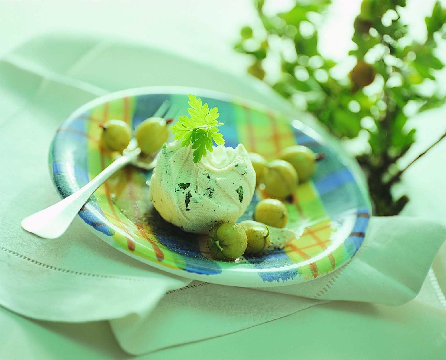 Mousse de schabziger aux groseilles à maquereau